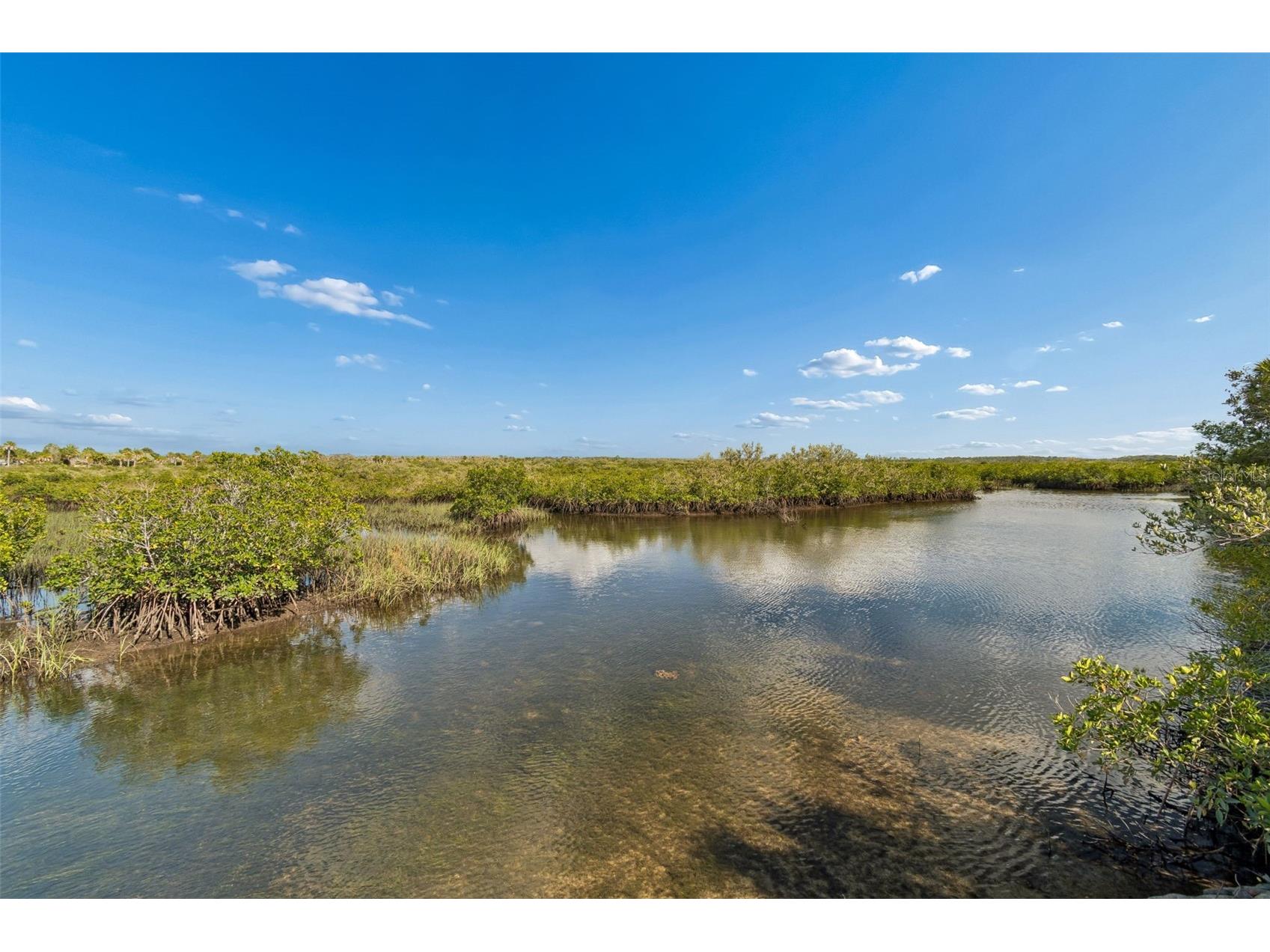 10501 Pine Island Drive Weeki Wachee FL 34607 TB8501588 image45