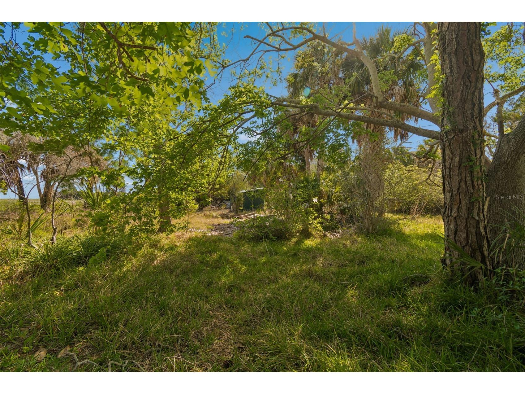 10501 Pine Island Drive Weeki Wachee FL 34607 TB8501588 image52