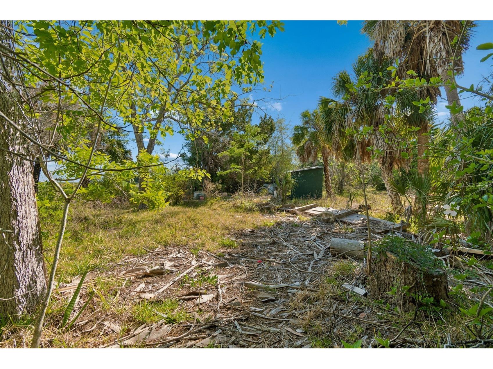 10501 Pine Island Drive Weeki Wachee FL 34607 TB8501588 image54