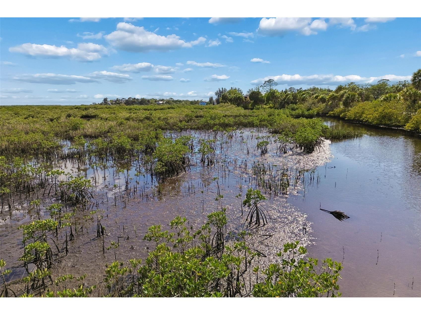 10501 Pine Island Drive Weeki Wachee FL 34607 TB8501588 image8