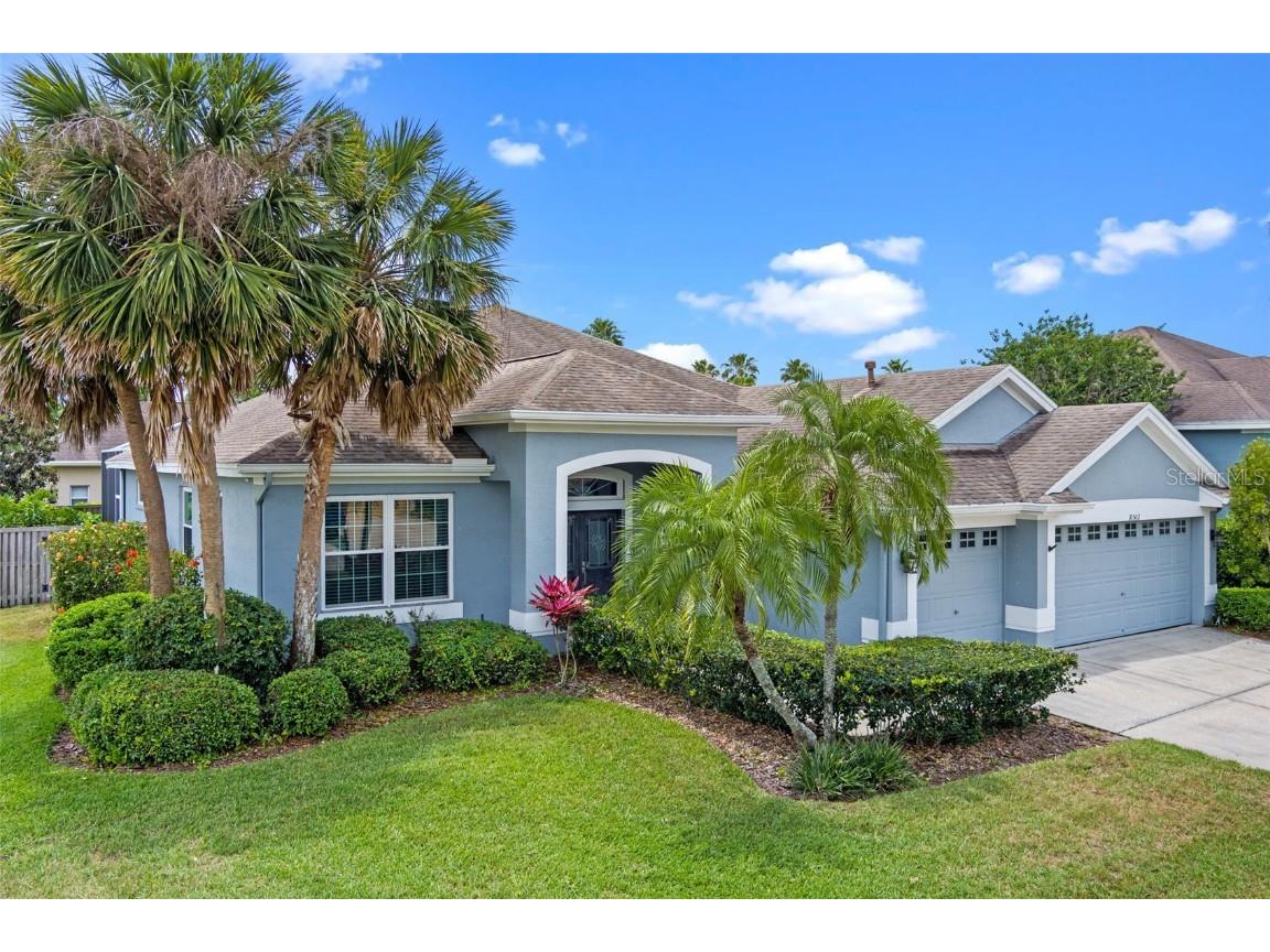 10502 Brentford Drive Tampa FL 33626 TB8385974 image1