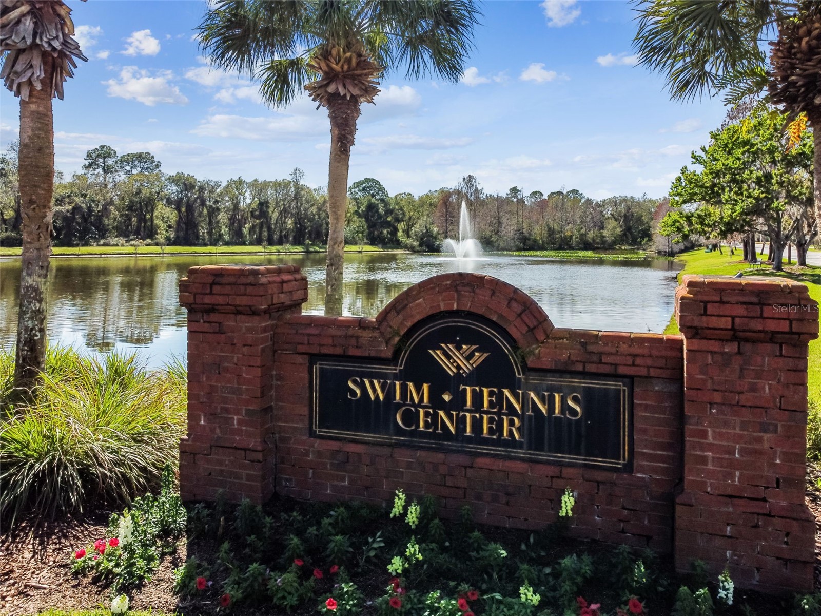 10502 Castleford Way Tampa FL 33626 TB8518027 image39