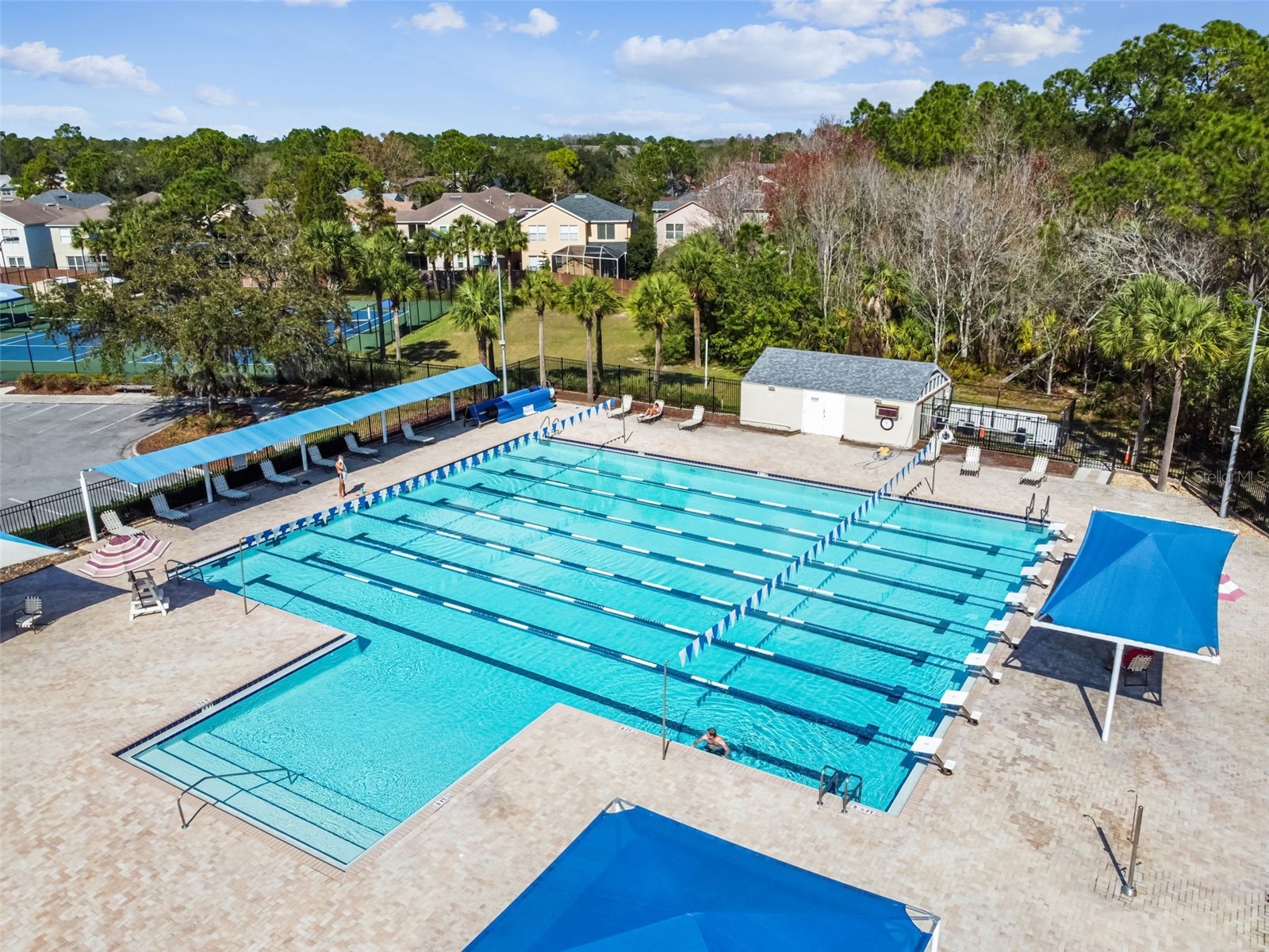 10502 Castleford Way Tampa FL 33626 TB8518027 image40