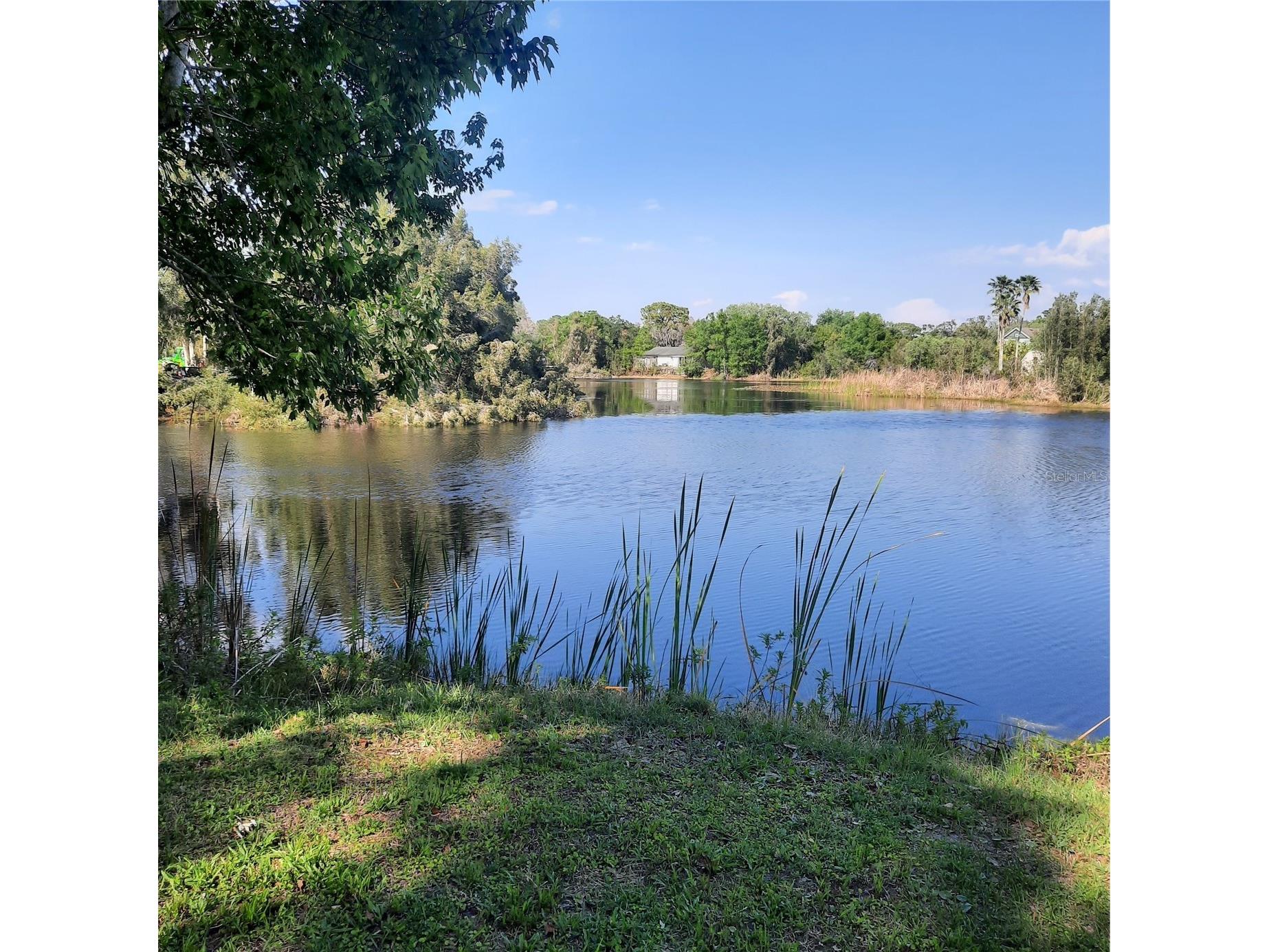 10502 Hinds Place Odessa FL 33556 TB8491771 image1
