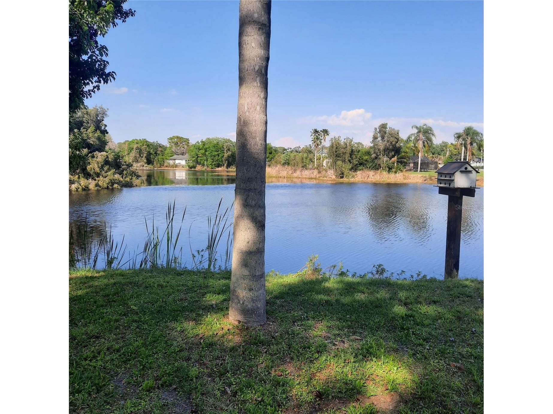 10502 Hinds Place Odessa FL 33556 TB8491771 image2