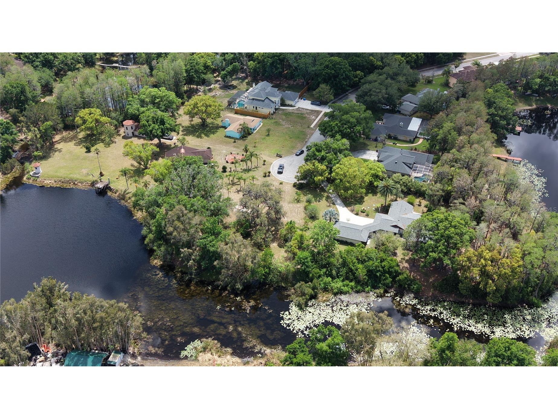 10502 Hinds Place Odessa FL 33556 TB8491771 image27