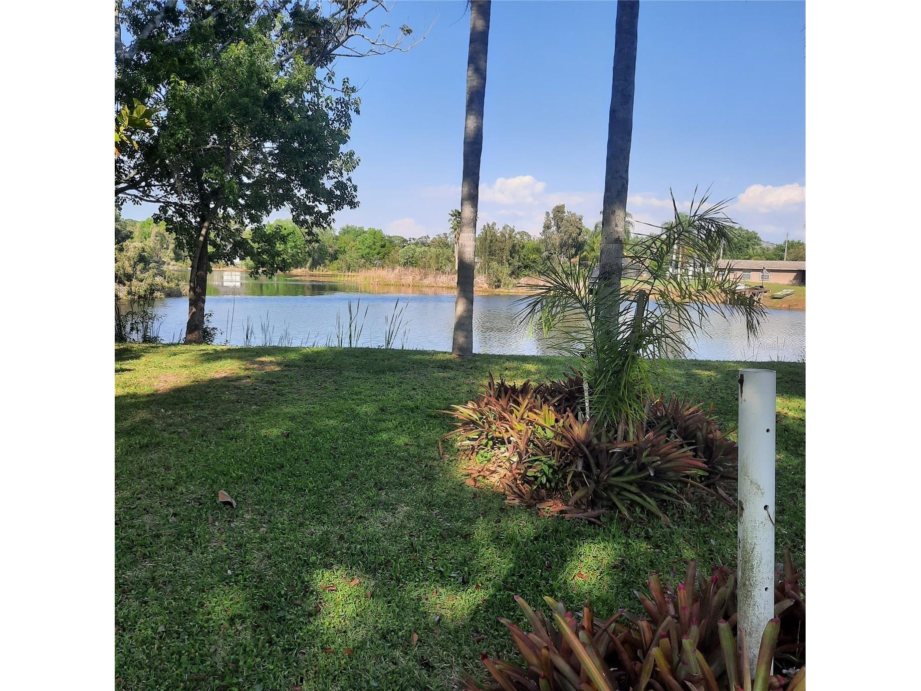 10502 Hinds Place Odessa FL 33556 TB8491771 image3