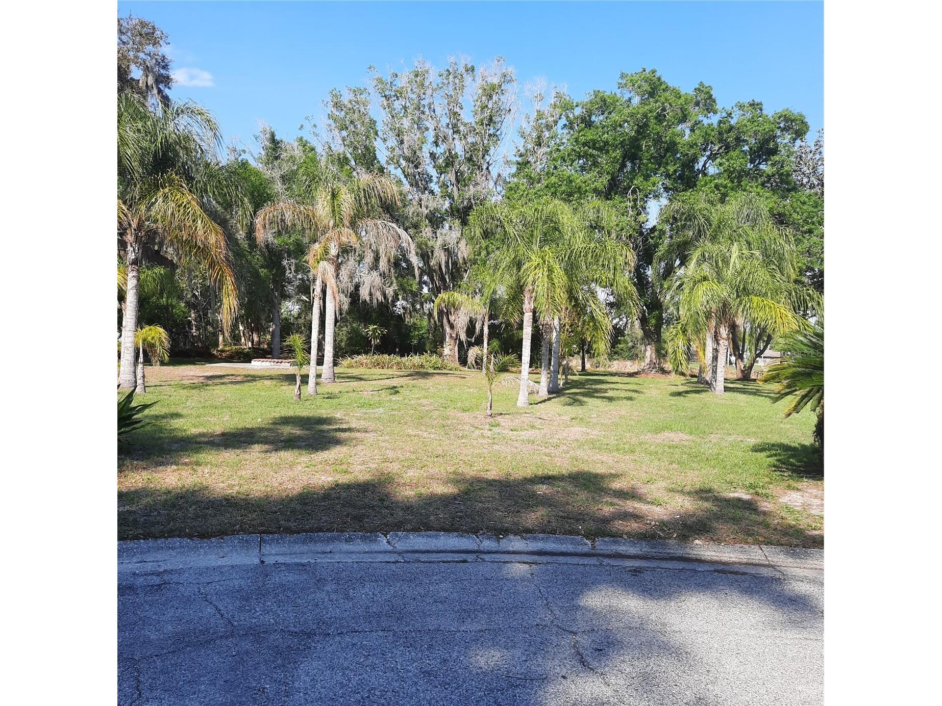 10502 Hinds Place Odessa FL 33556 TB8491771 image4