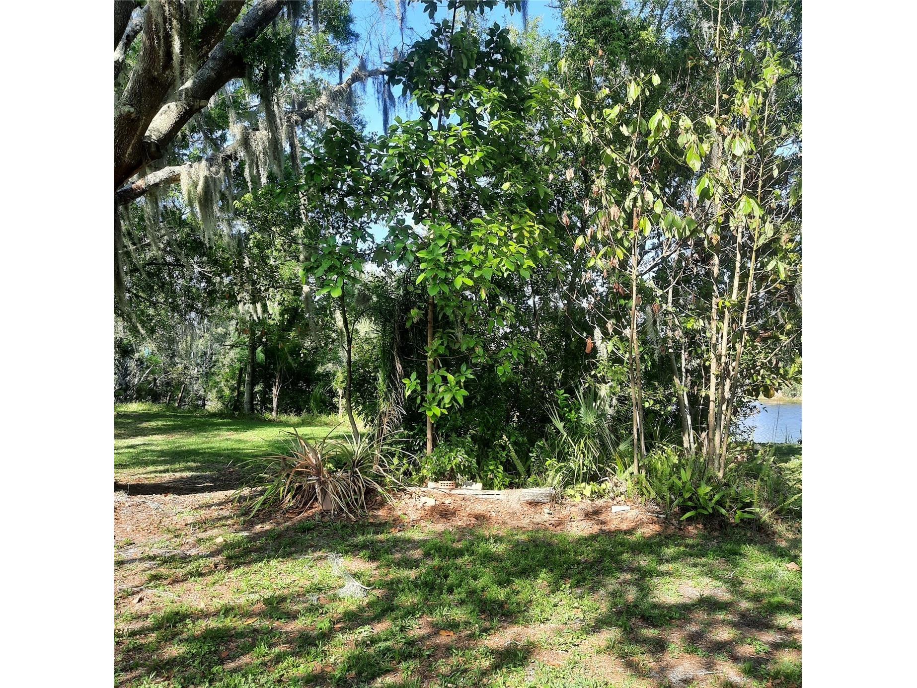 10502 Hinds Place Odessa FL 33556 TB8491771 image5