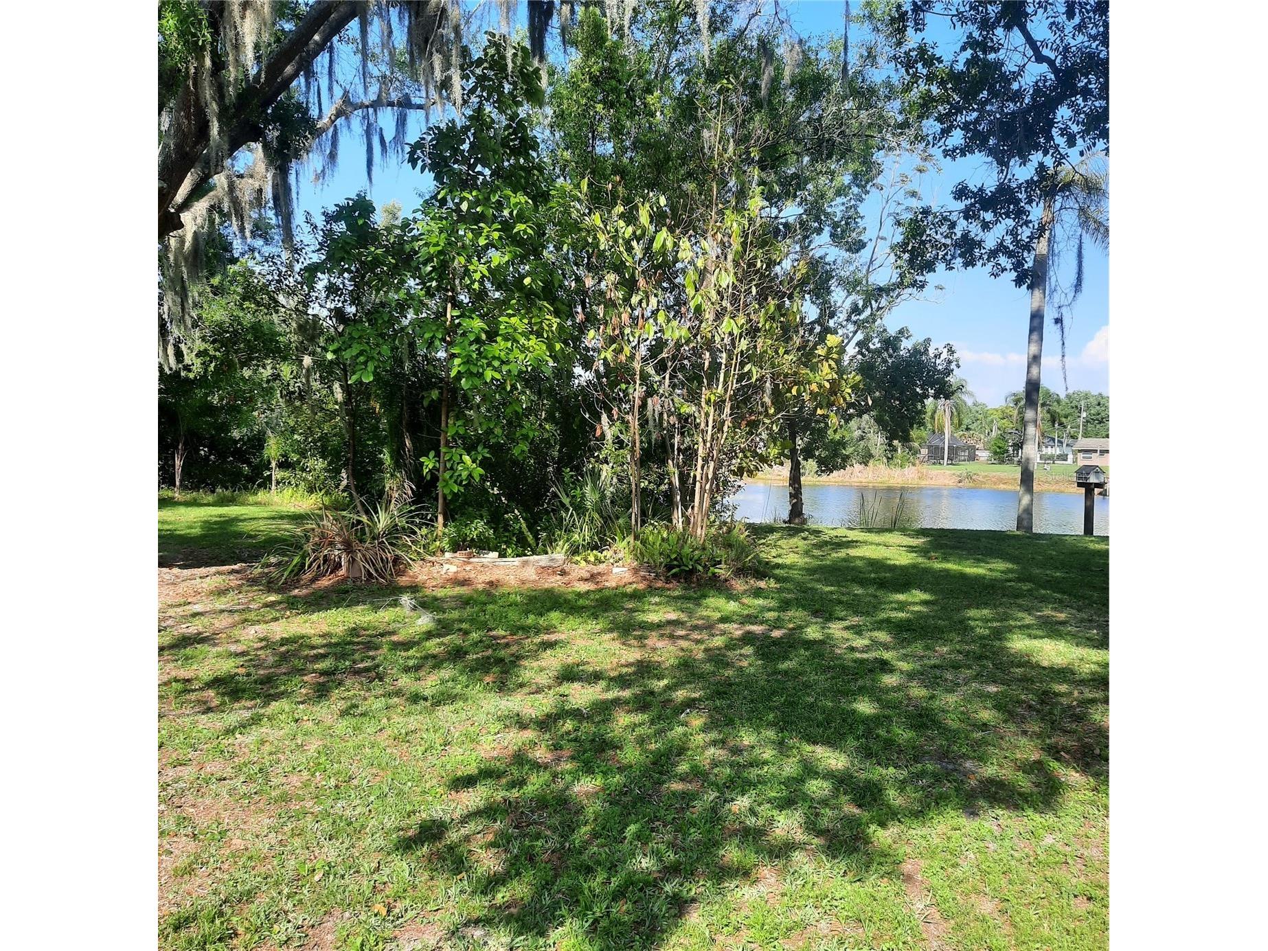 10502 Hinds Place Odessa FL 33556 TB8491771 image6