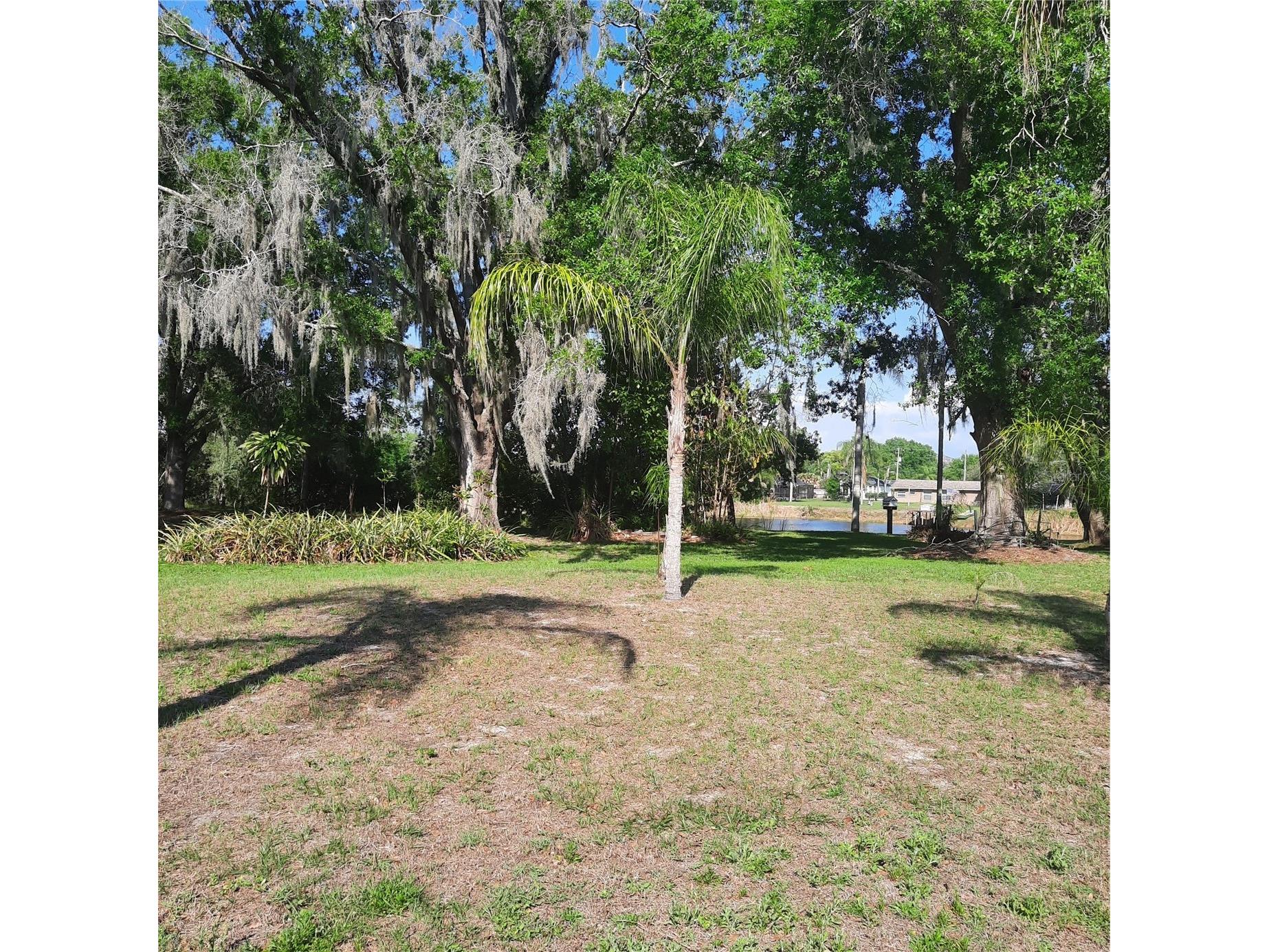 10502 Hinds Place Odessa FL 33556 TB8491771 image7
