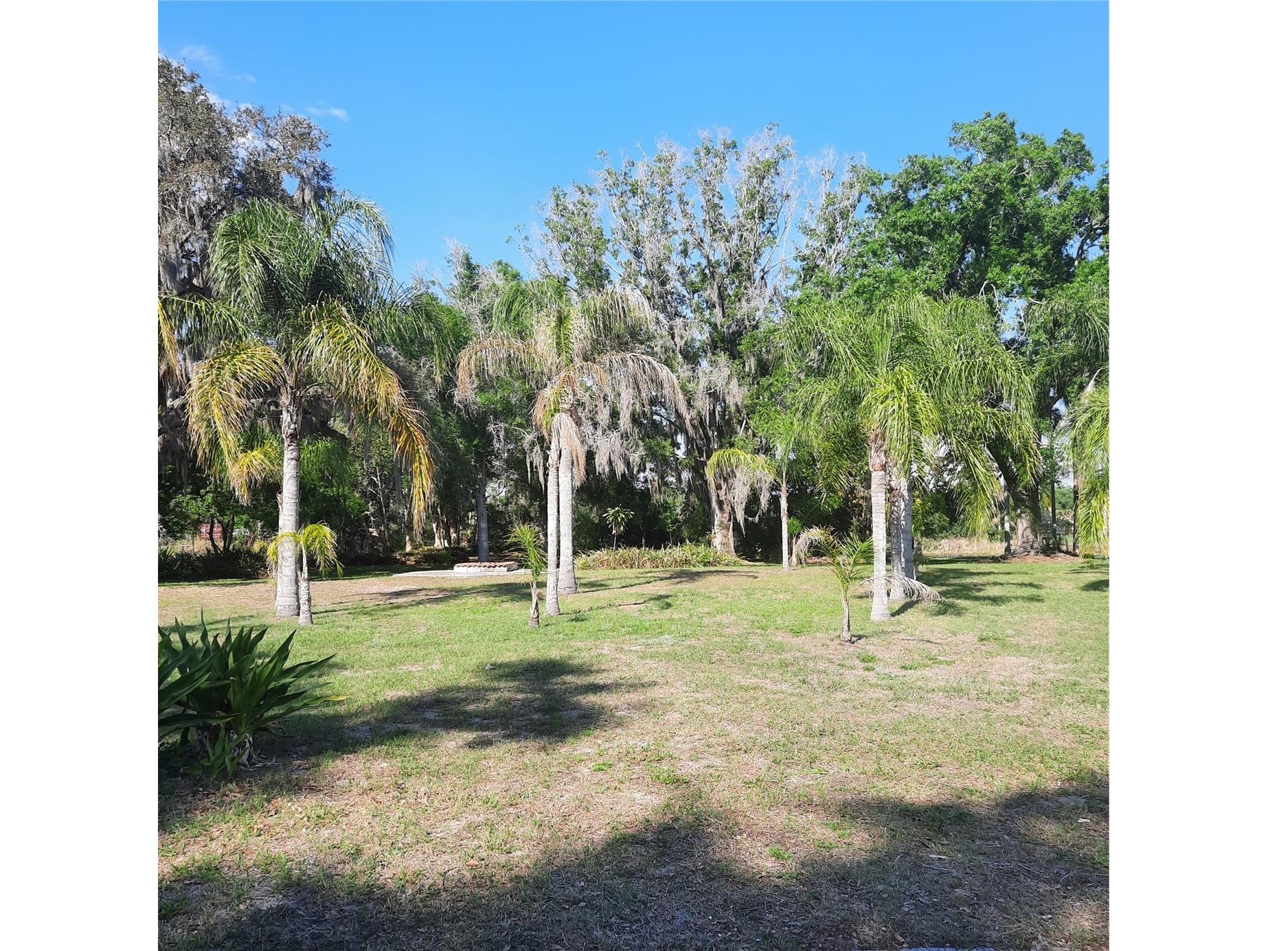 10502 Hinds Place Odessa FL 33556 TB8491771 image8