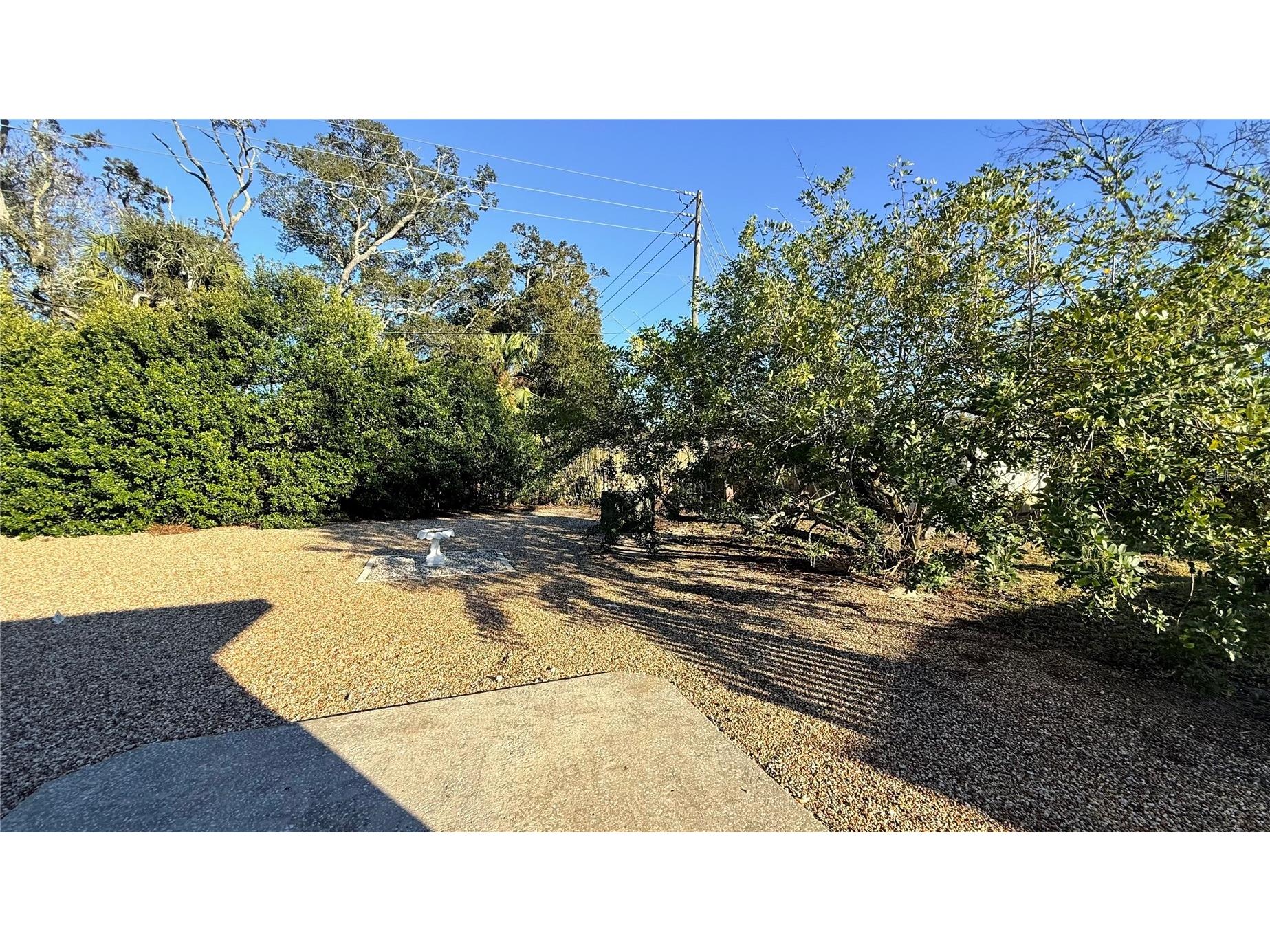 10502 Laburnum Drive Port Richey FL 34668 TB8474753 image18