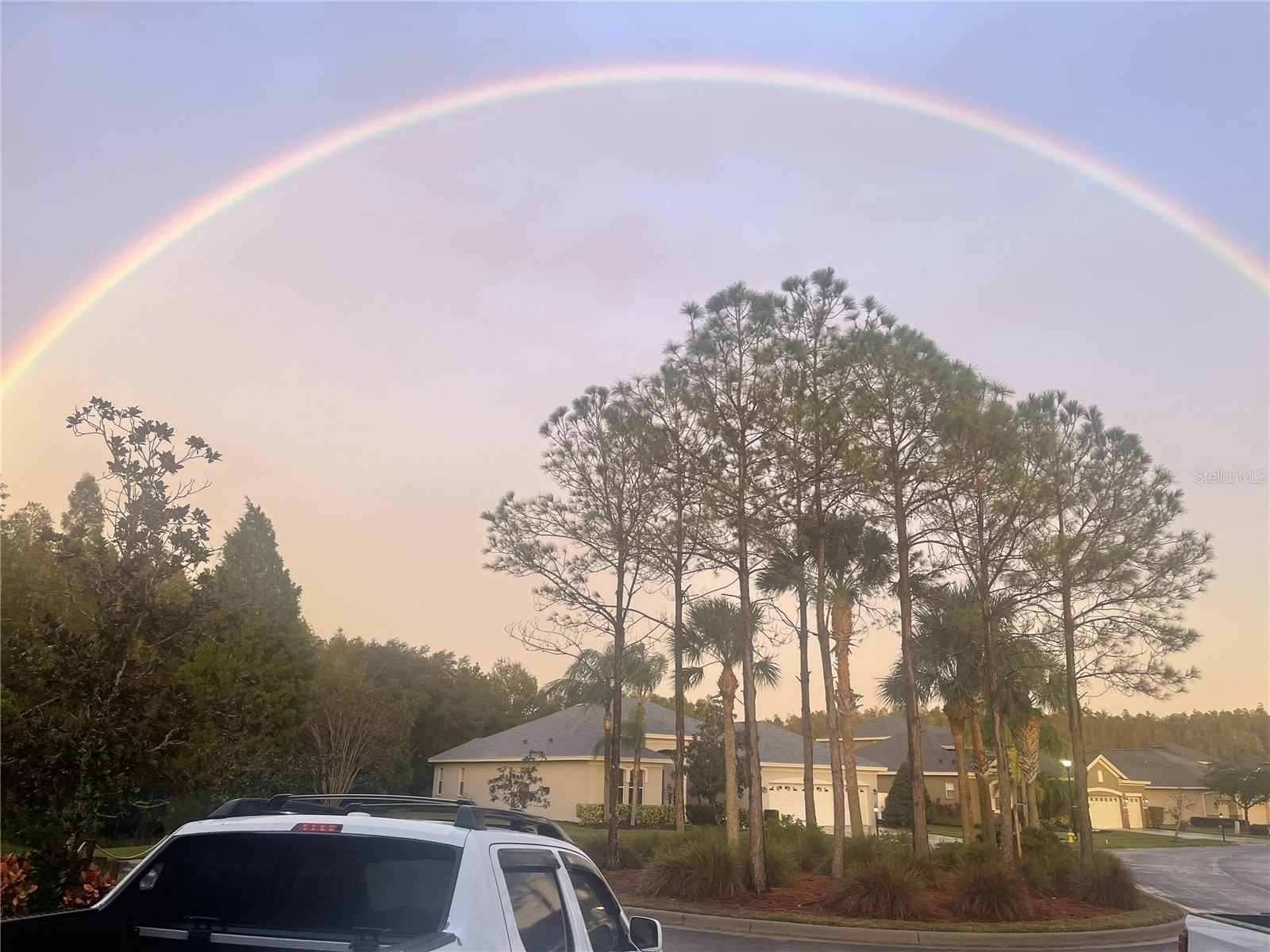 10503 Palm Cove Avenue Tampa FL 33647 O6375153 image11