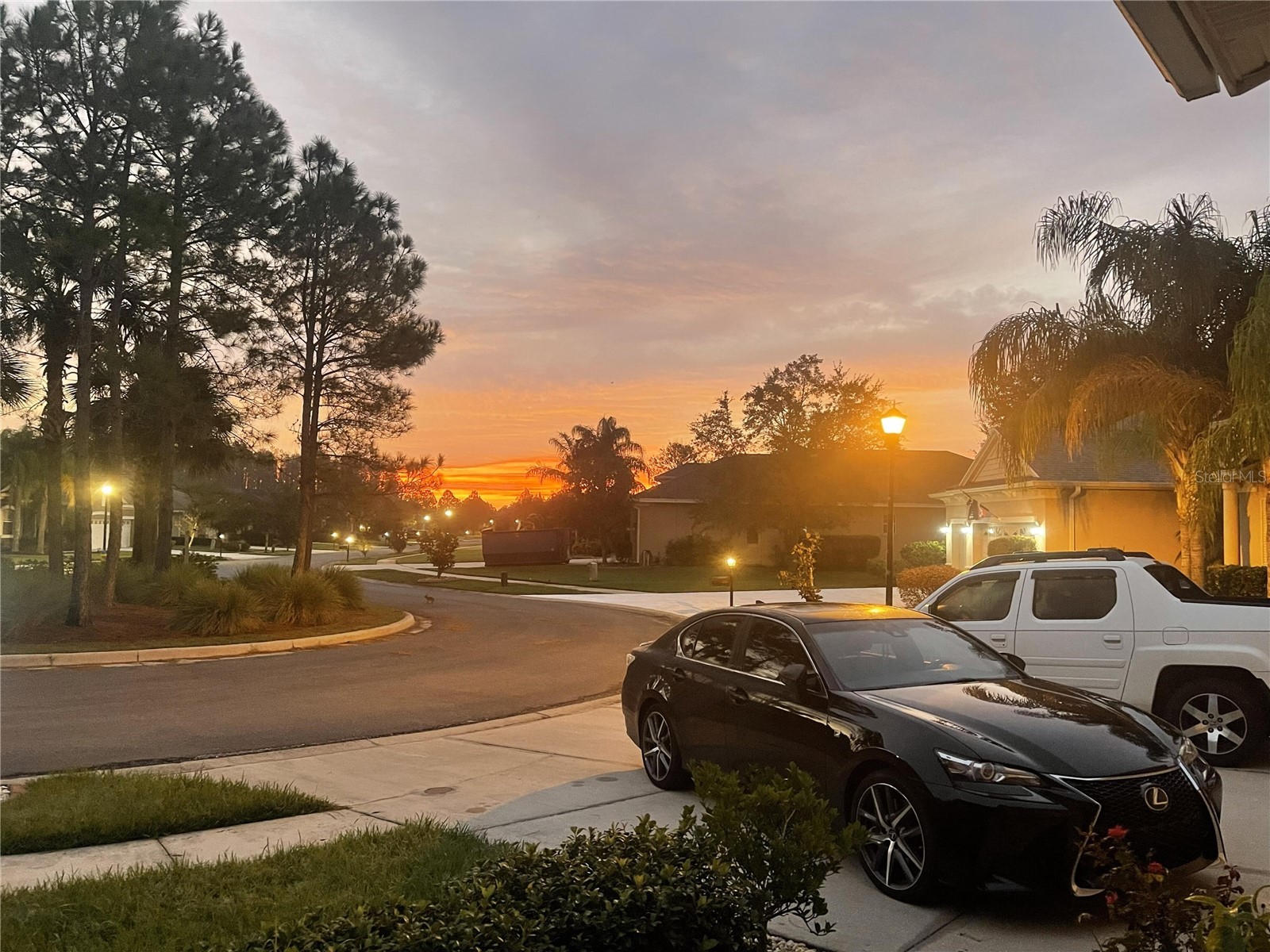 10503 Palm Cove Avenue Tampa FL 33647 O6375153 image12