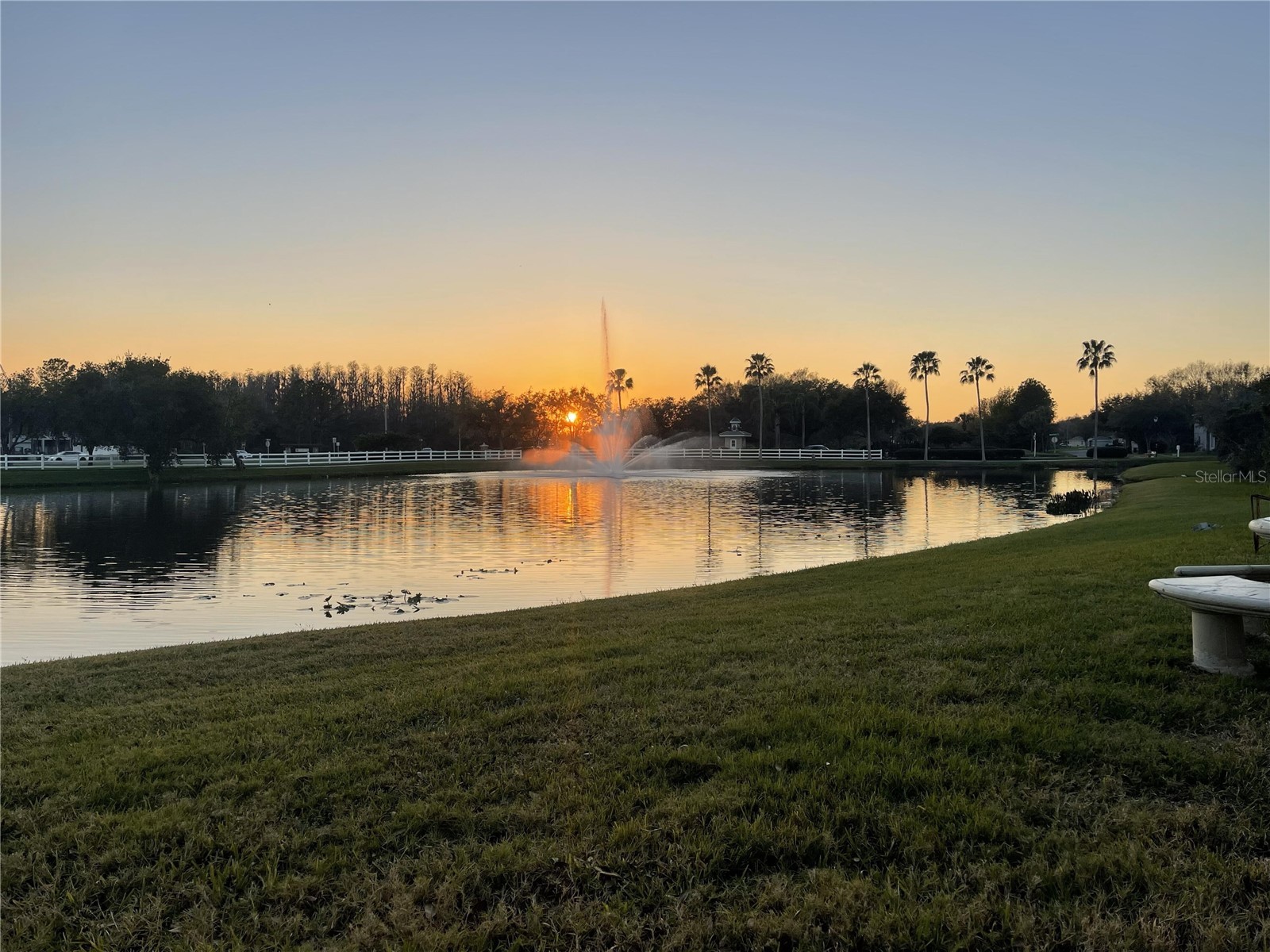 10503 Palm Cove Avenue Tampa FL 33647 O6375153 image13