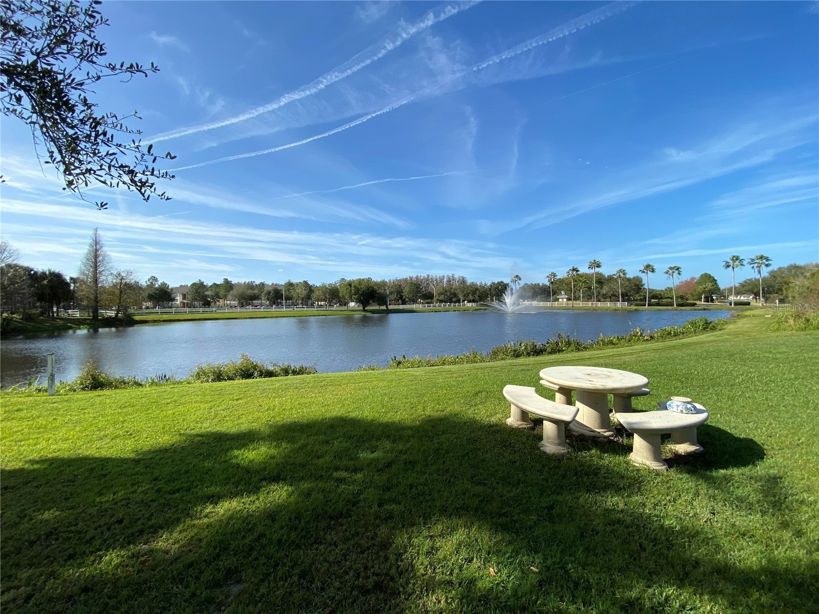 10503 Palm Cove Avenue Tampa FL 33647 O6375153 image20