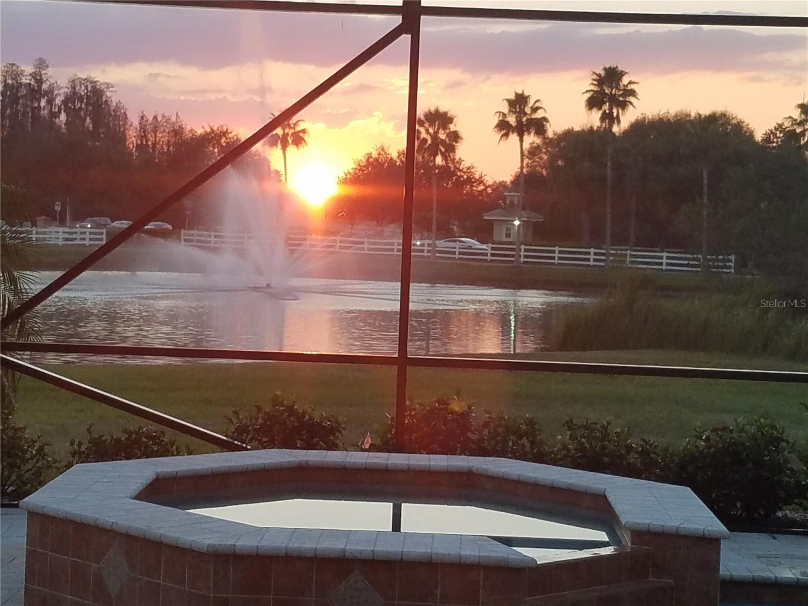 10503 Palm Cove Avenue Tampa FL 33647 O6375153 image50