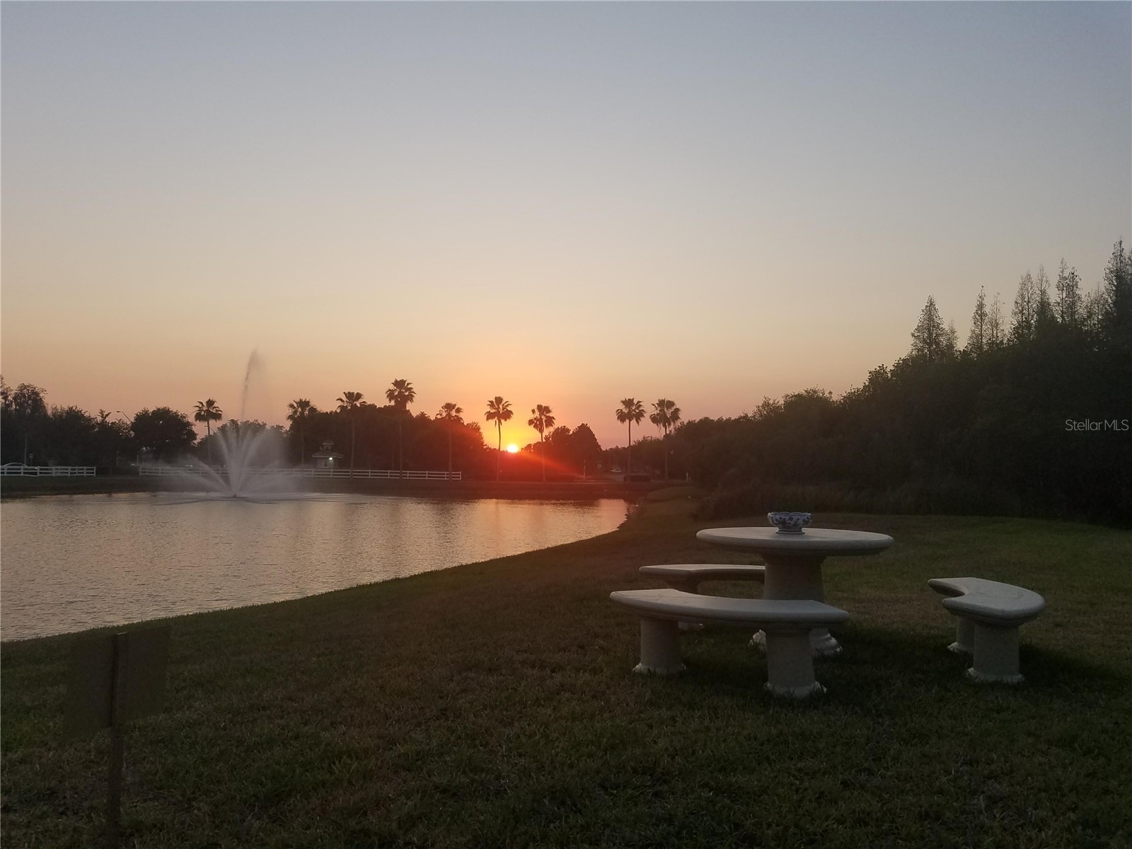 10503 Palm Cove Avenue Tampa FL 33647 O6375153 image51