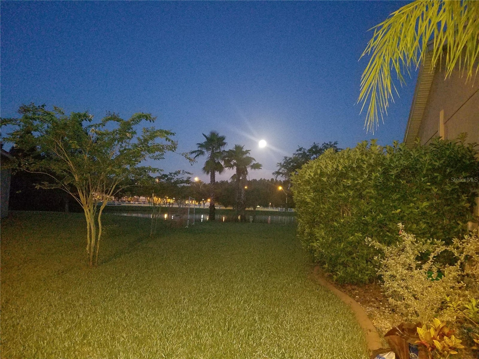 10503 Palm Cove Avenue Tampa FL 33647 O6375153 image52