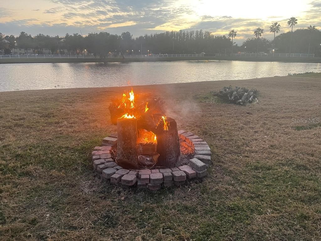 10503 Palm Cove Avenue Tampa FL 33647 O6375153 image53