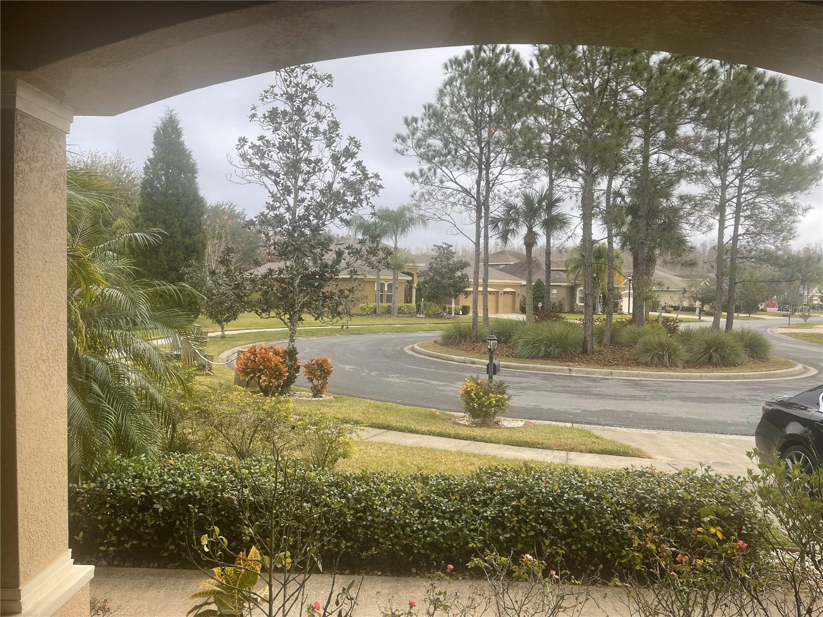 10503 Palm Cove Avenue Tampa FL 33647 O6375153 image56