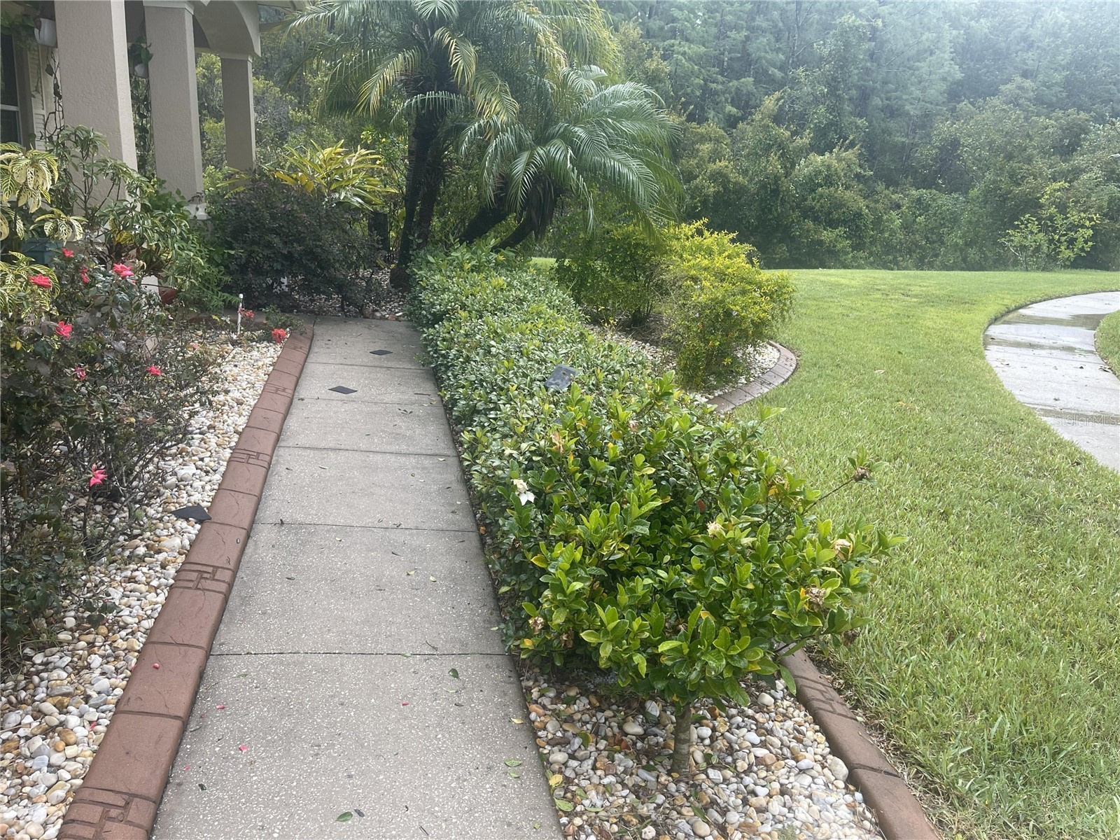 10503 Palm Cove Avenue Tampa FL 33647 O6375153 image59