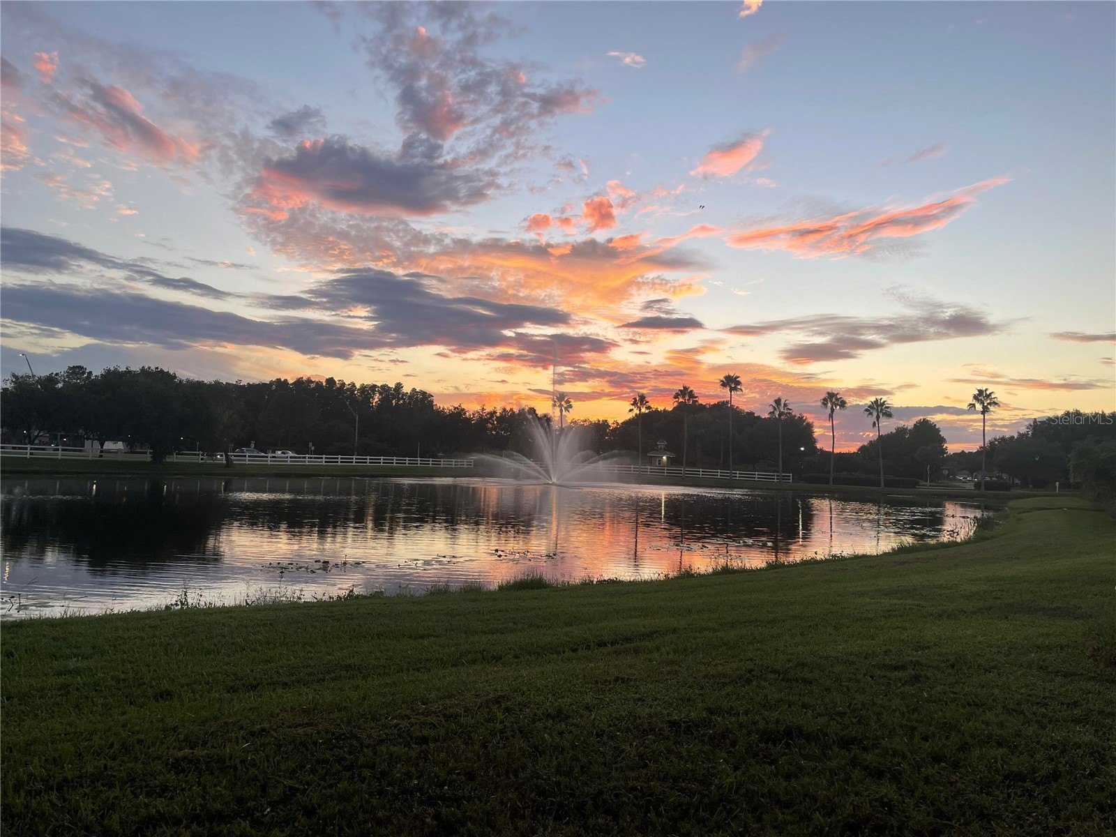 10503 Palm Cove Avenue Tampa FL 33647 O6375153 image64