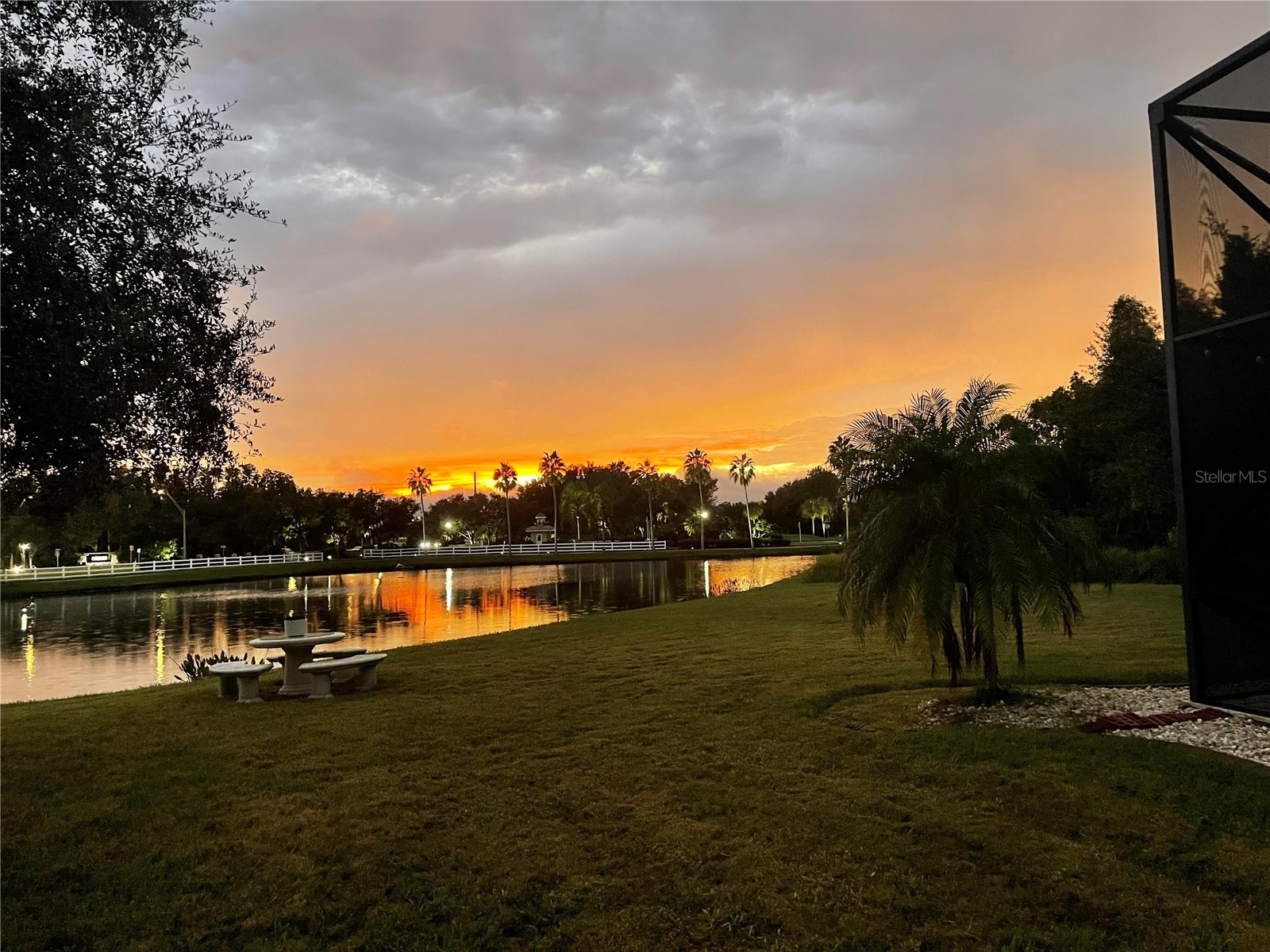 10503 Palm Cove Avenue Tampa FL 33647 O6375153 image66