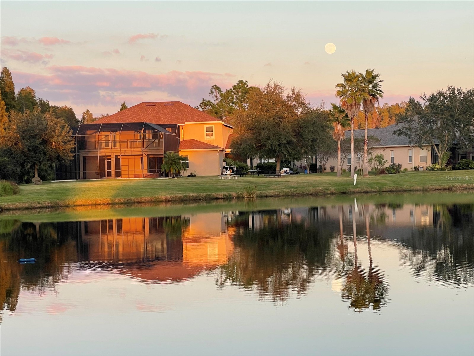 10503 Palm Cove Avenue Tampa FL 33647 O6375153 image68