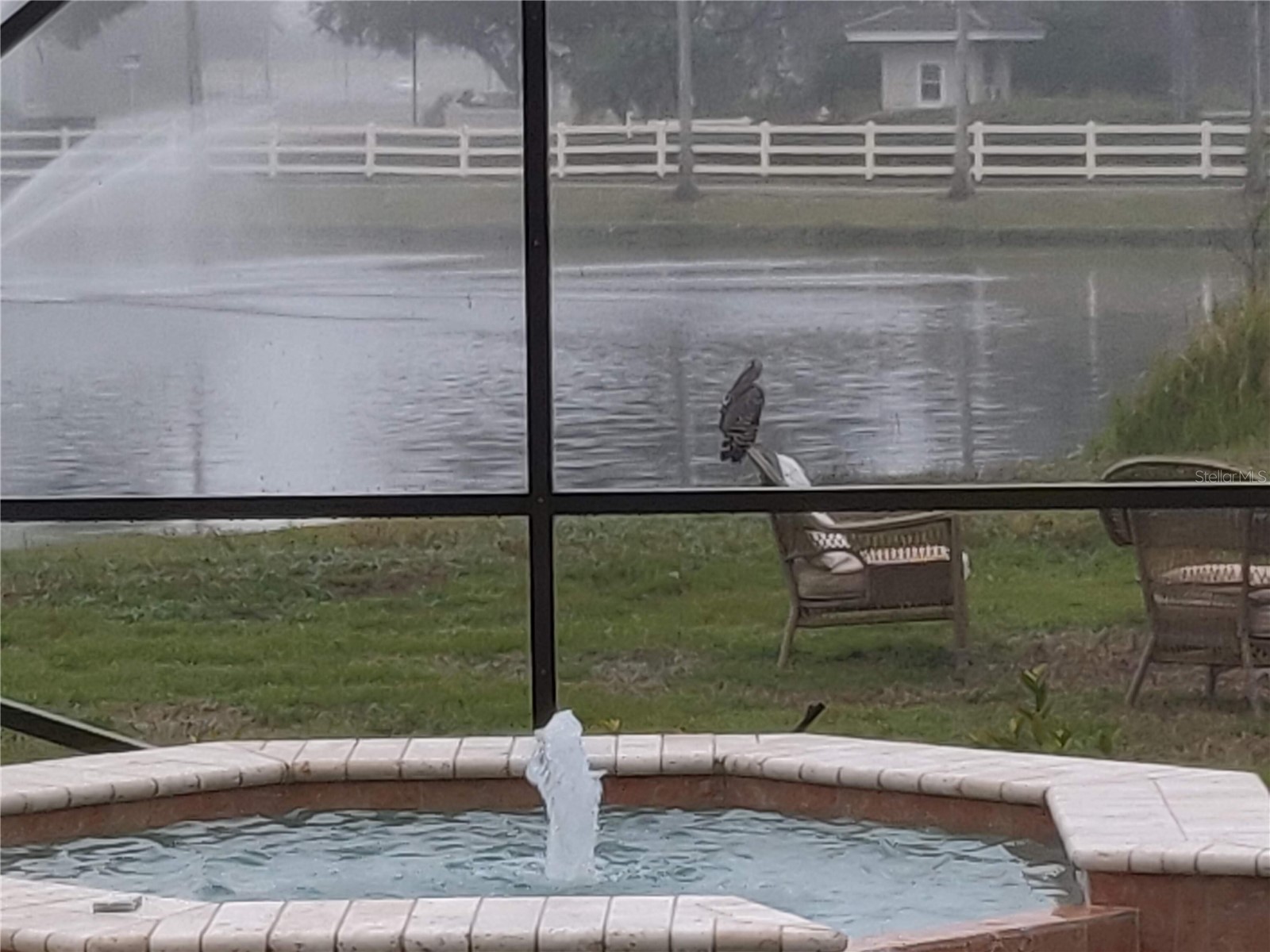 10503 Palm Cove Avenue Tampa FL 33647 O6375153 image73