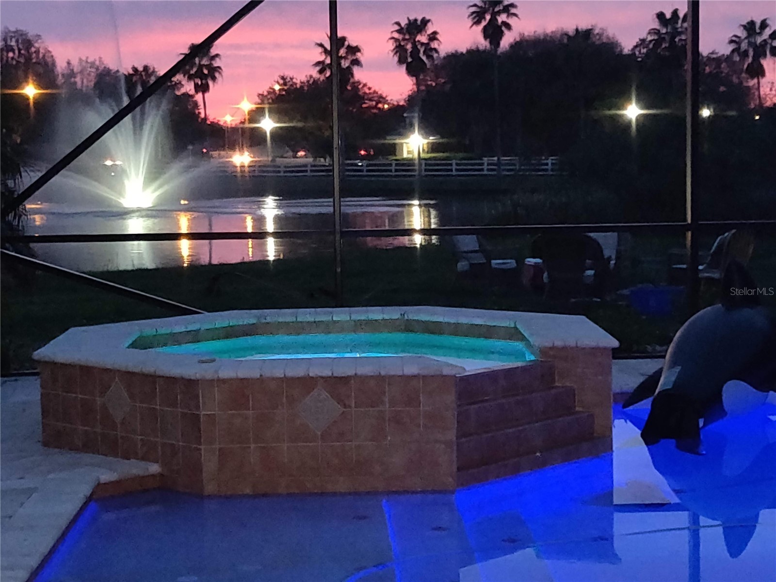 10503 Palm Cove Avenue Tampa FL 33647 O6375153 image75