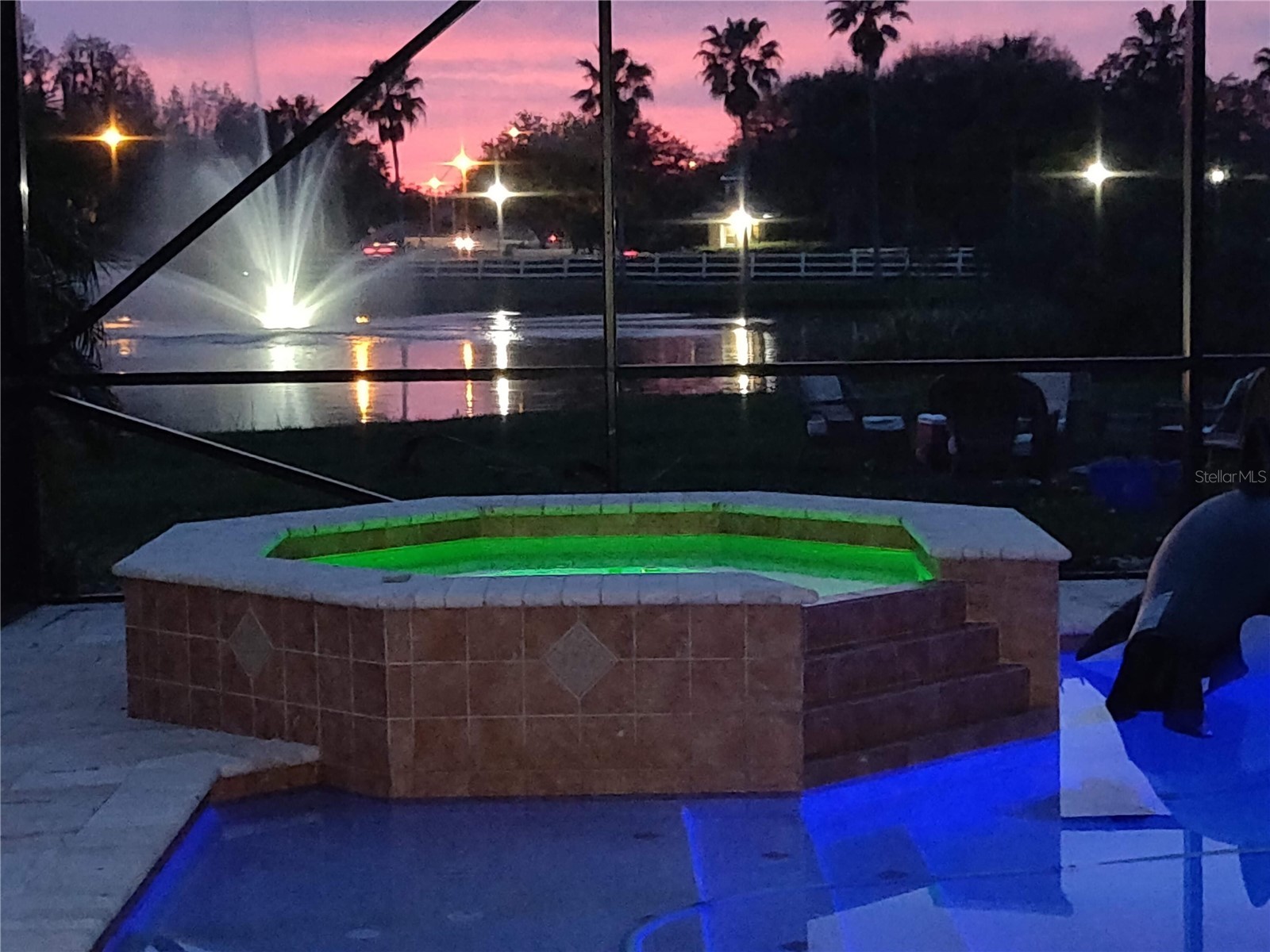 10503 Palm Cove Avenue Tampa FL 33647 O6375153 image76