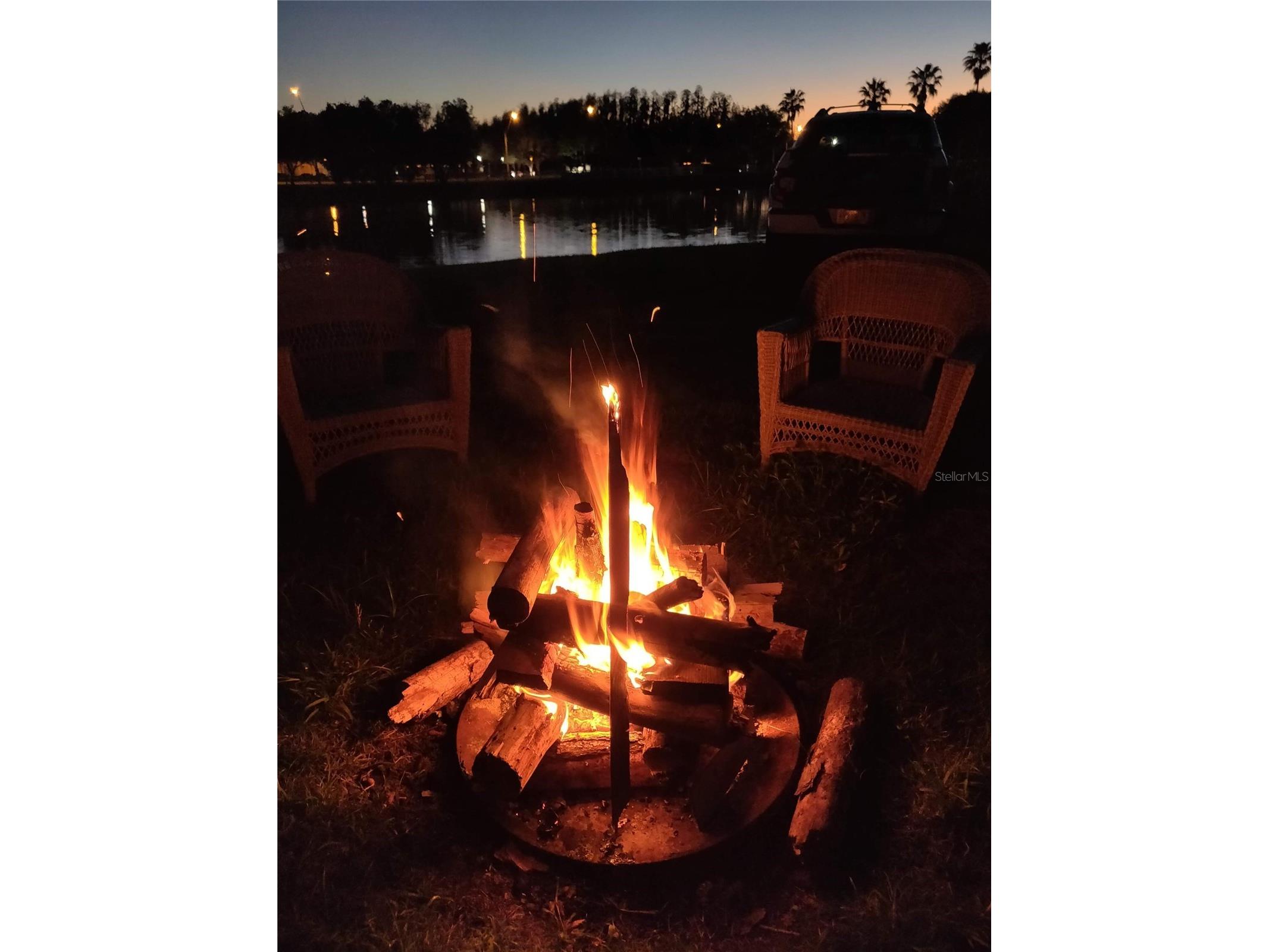 10503 Palm Cove Avenue Tampa FL 33647 O6375153 image77