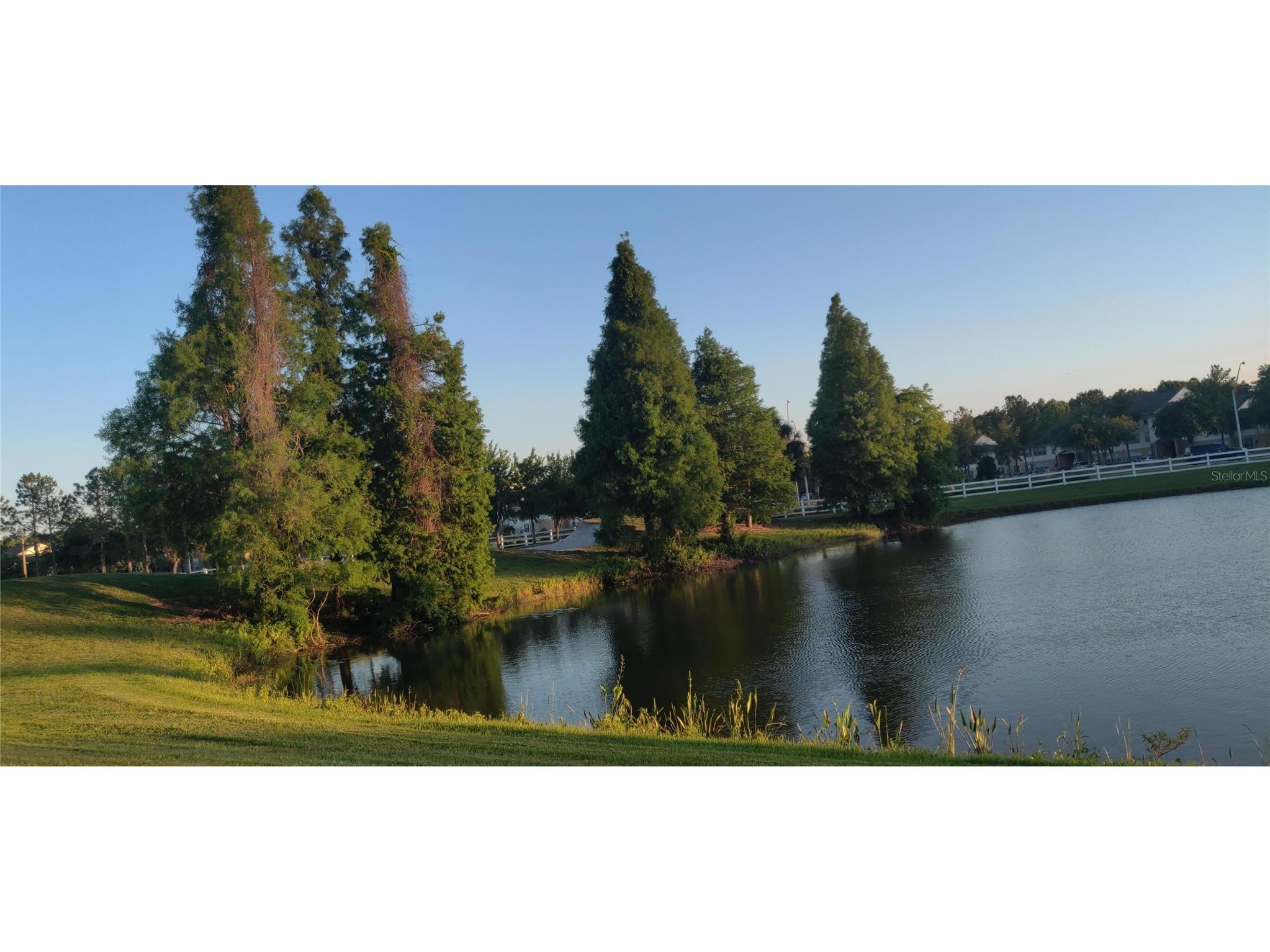 10503 Palm Cove Avenue Tampa FL 33647 O6375153 image78