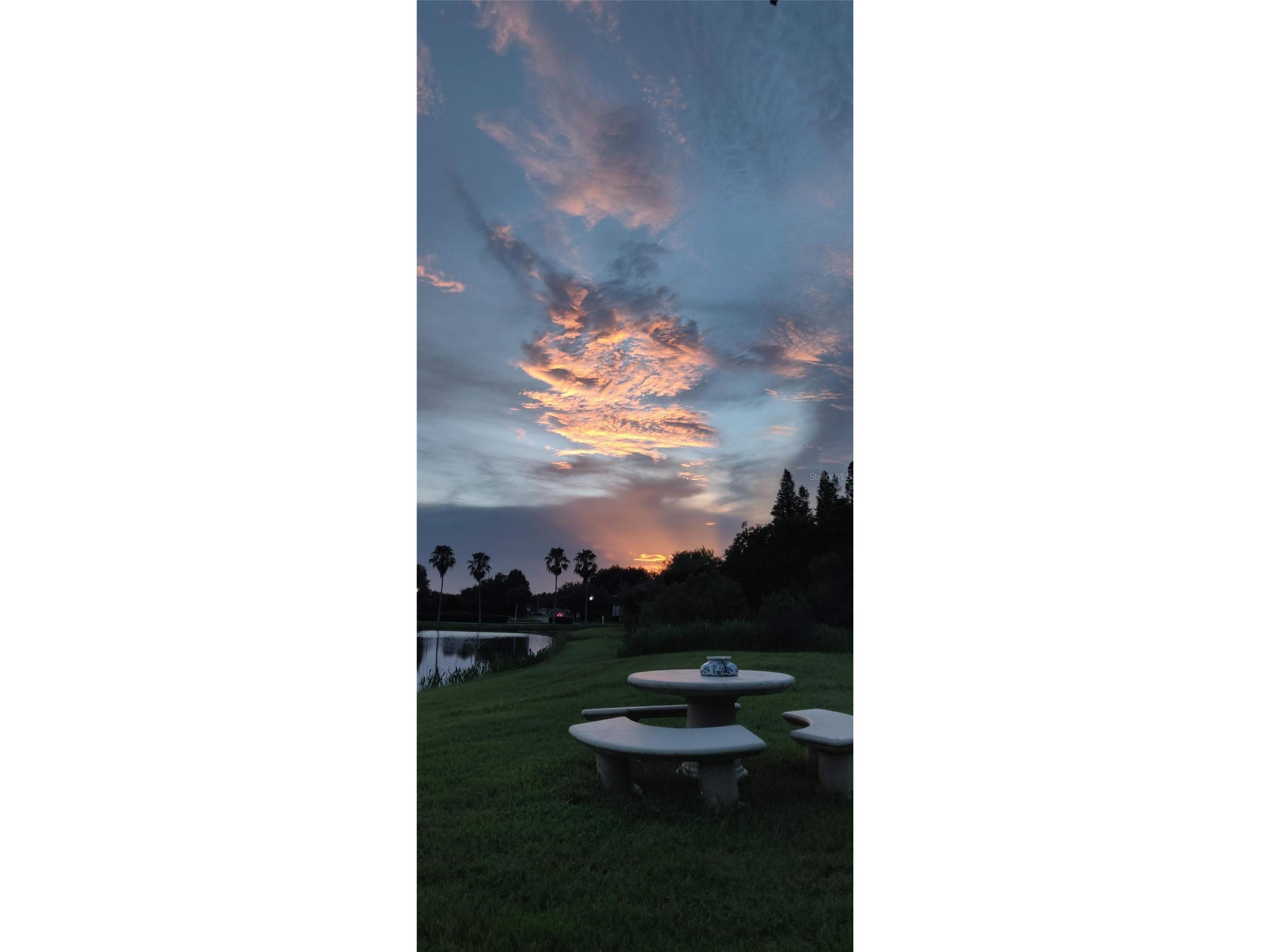 10503 Palm Cove Avenue Tampa FL 33647 O6375153 image79