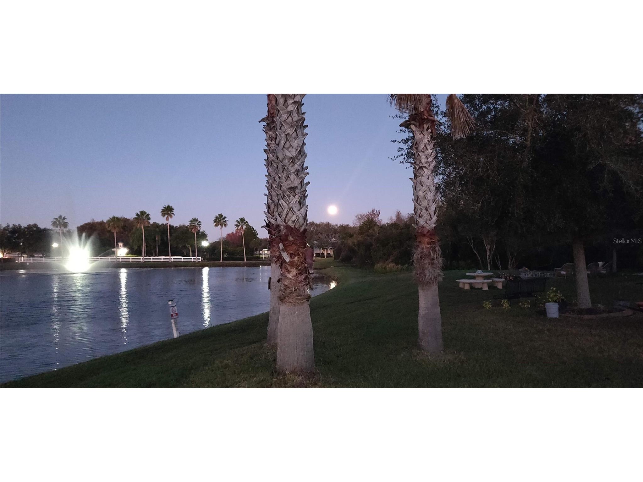 10503 Palm Cove Avenue Tampa FL 33647 O6375153 image8