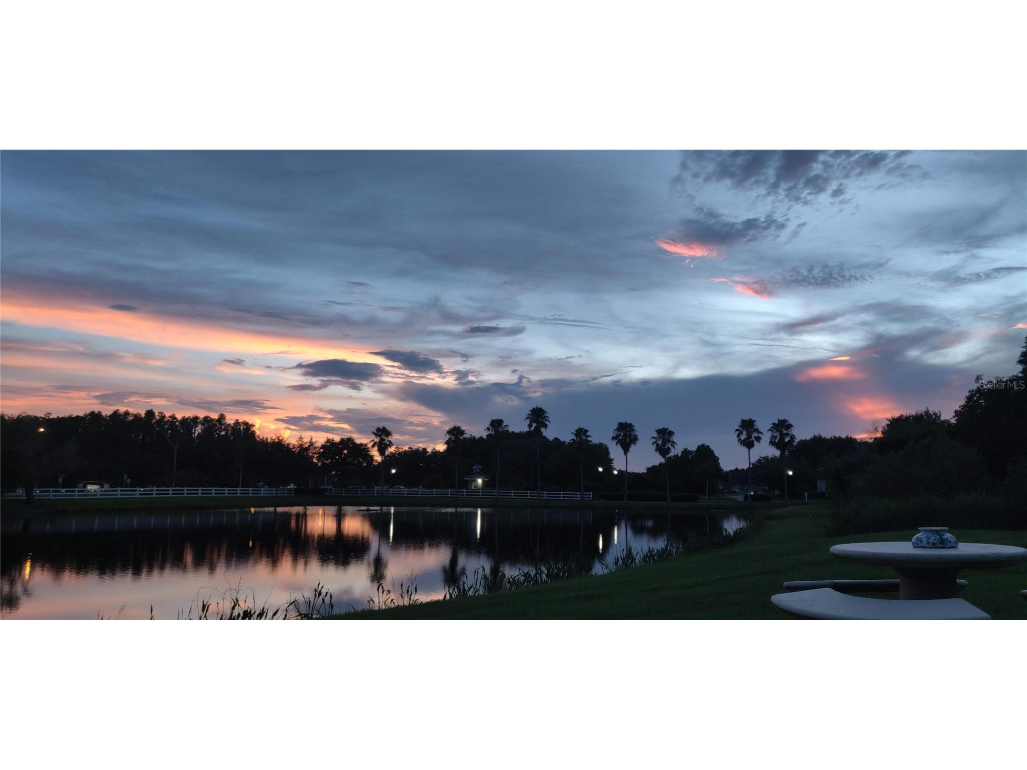 10503 Palm Cove Avenue Tampa FL 33647 O6375153 image80