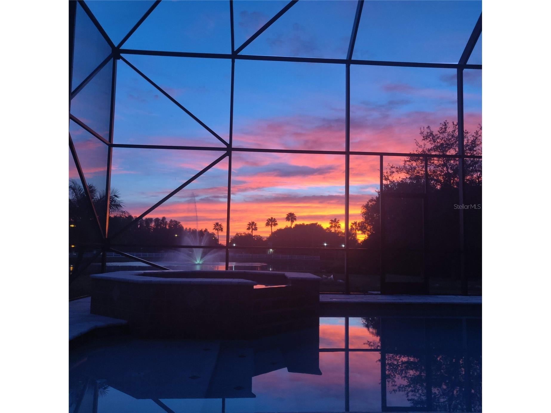 10503 Palm Cove Avenue Tampa FL 33647 O6375153 image83