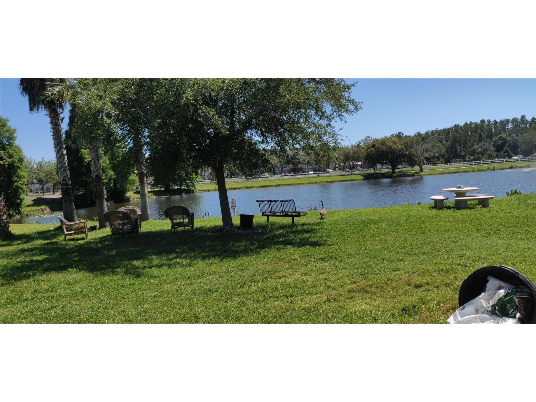 10503 Palm Cove Avenue Tampa FL 33647 O6375153 image86