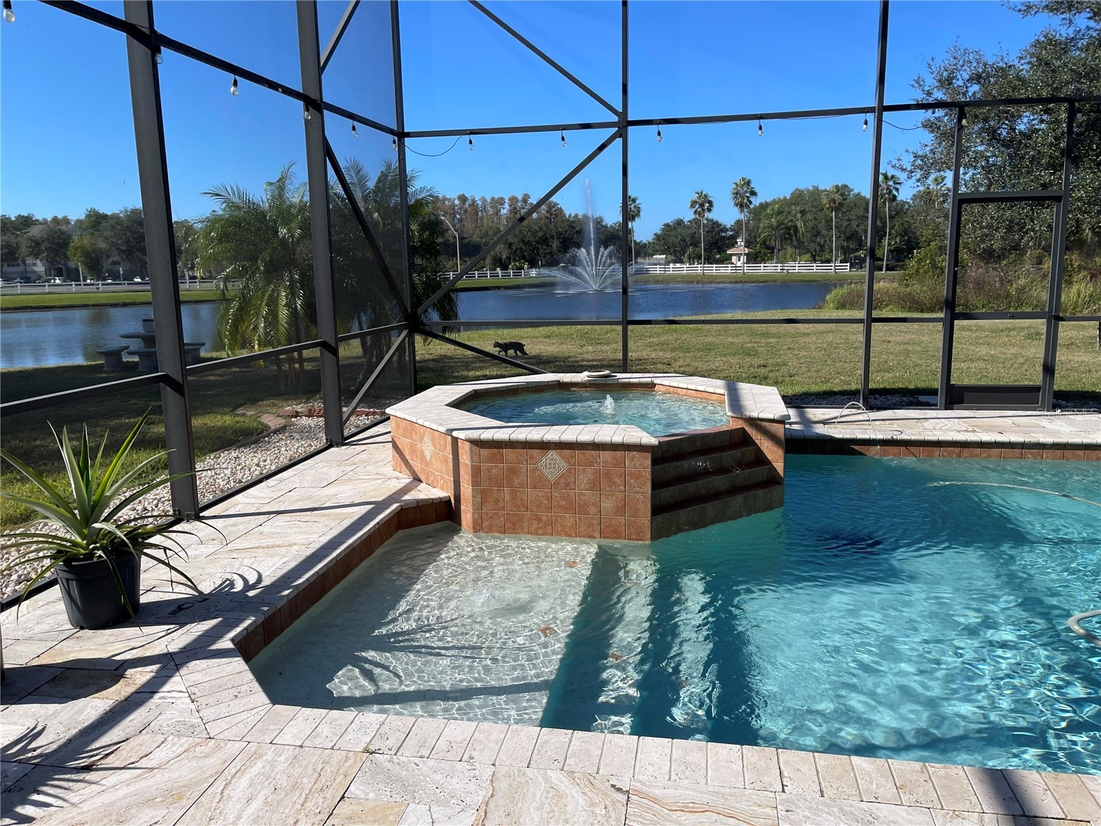 10503 Palm Cove Avenue Tampa FL 33647 O6375153 image87