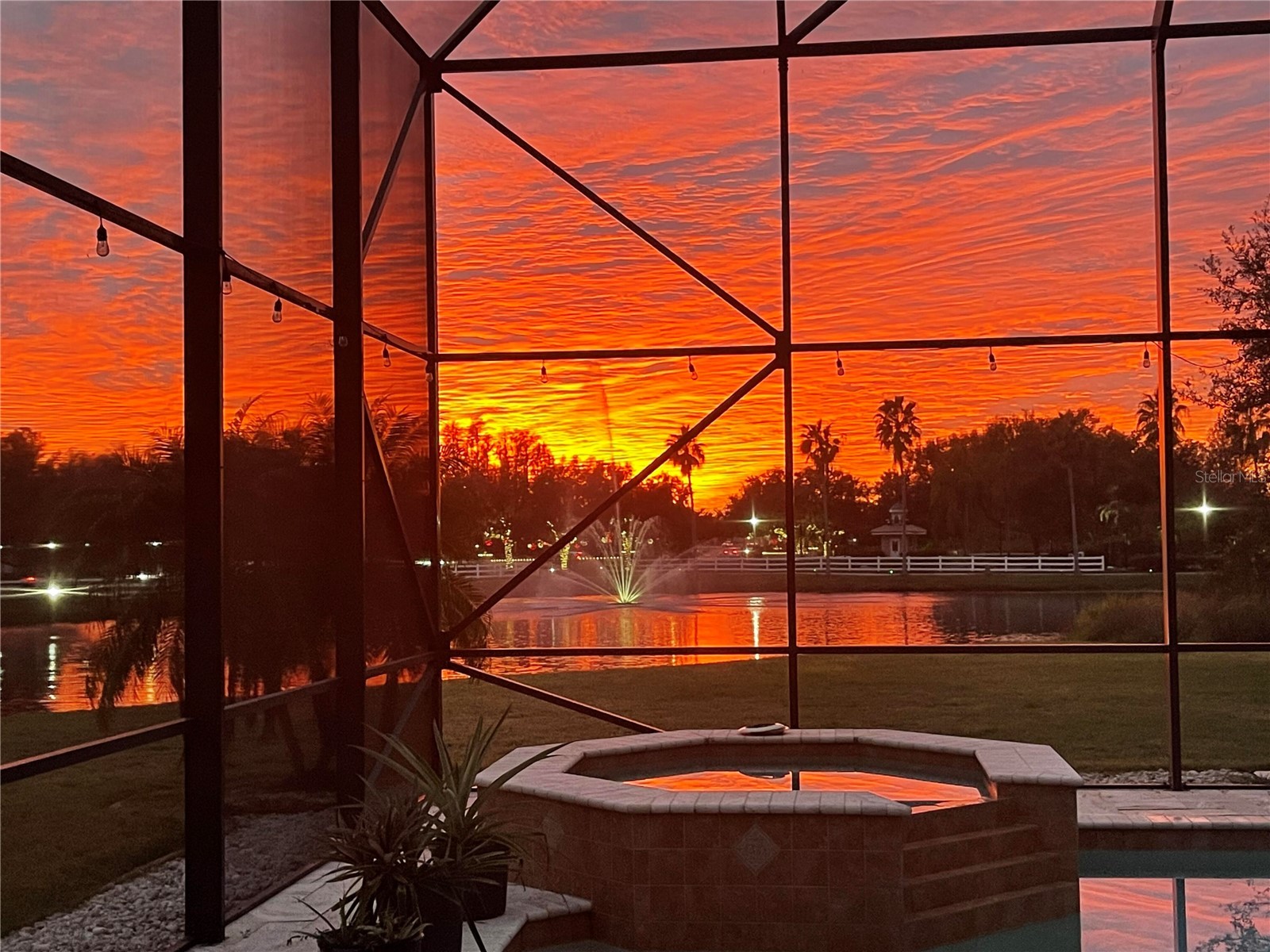 10503 Palm Cove Avenue Tampa FL 33647 O6375153 image88