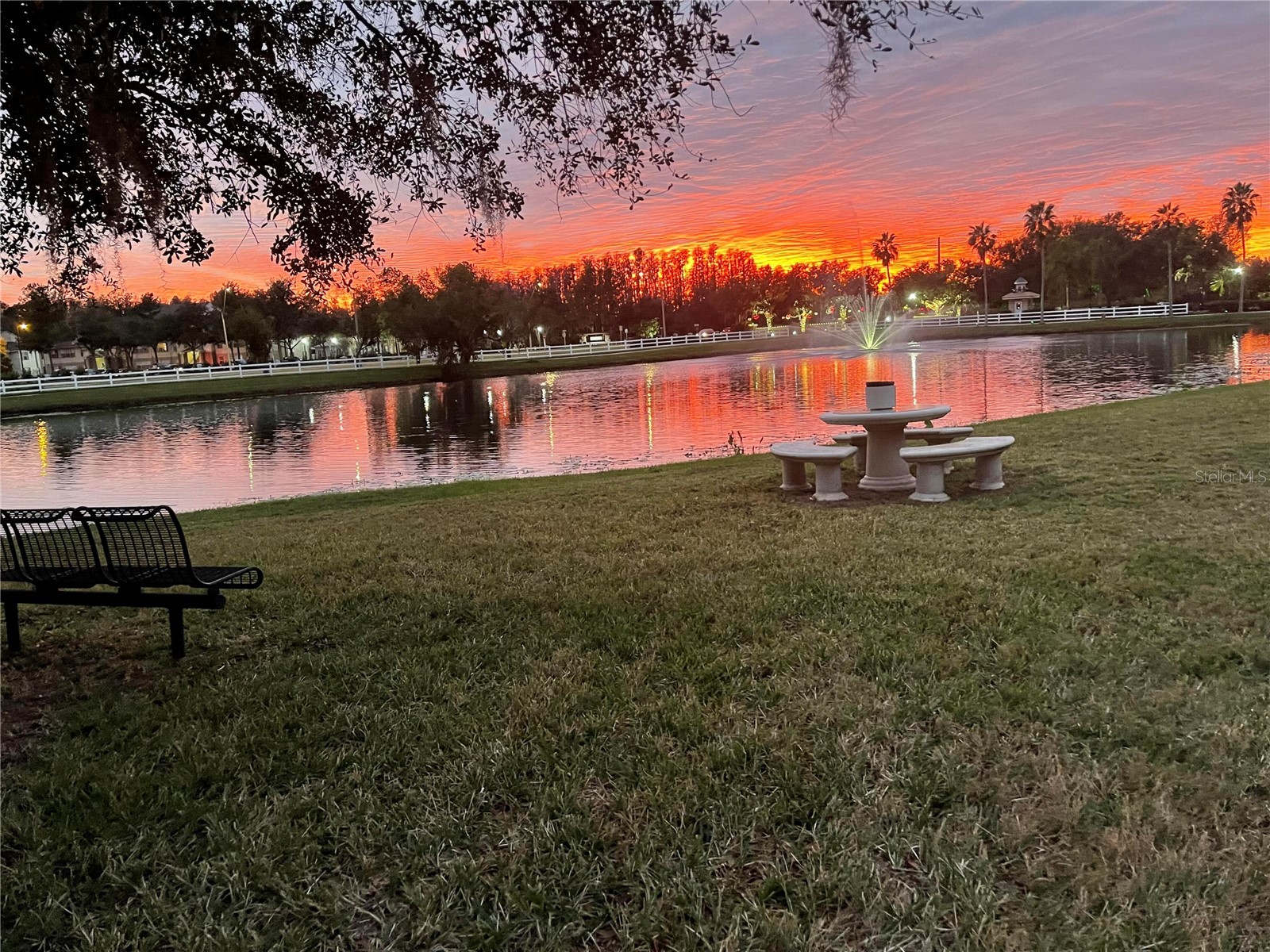 10503 Palm Cove Avenue Tampa FL 33647 O6375153 image89