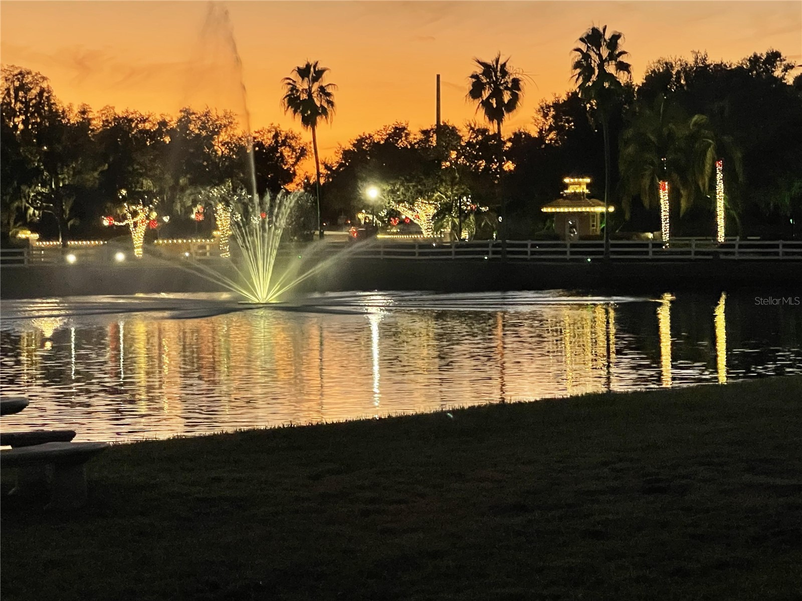 10503 Palm Cove Avenue Tampa FL 33647 O6375153 image9