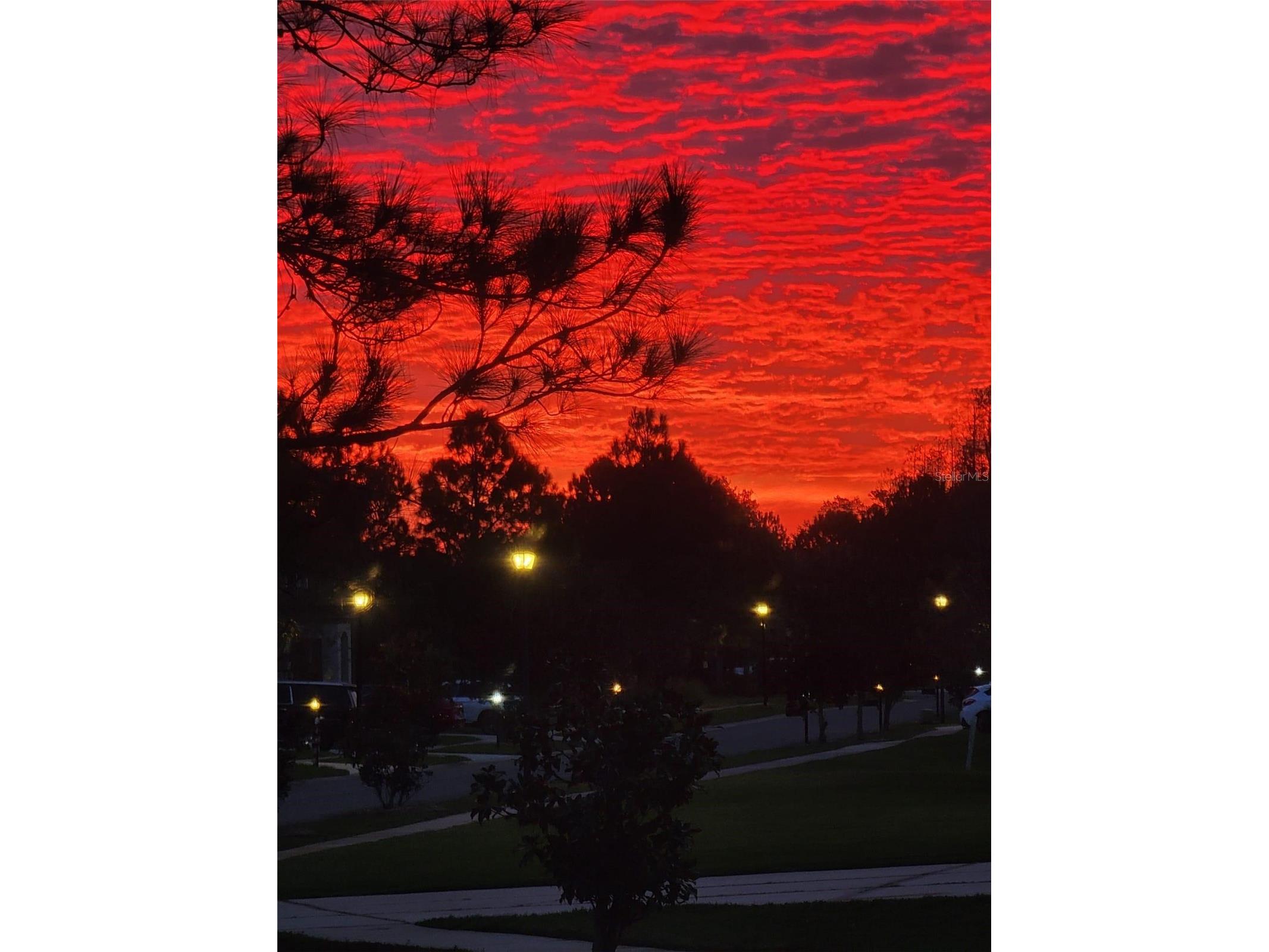 10503 Palm Cove Avenue Tampa FL 33647 O6375153 image92