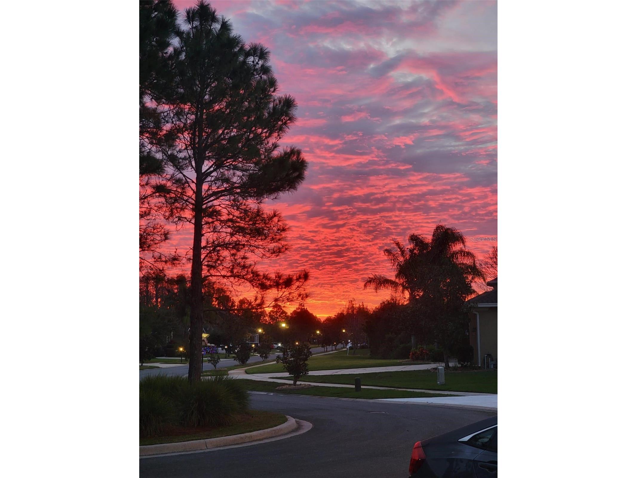 10503 Palm Cove Avenue Tampa FL 33647 O6375153 image93