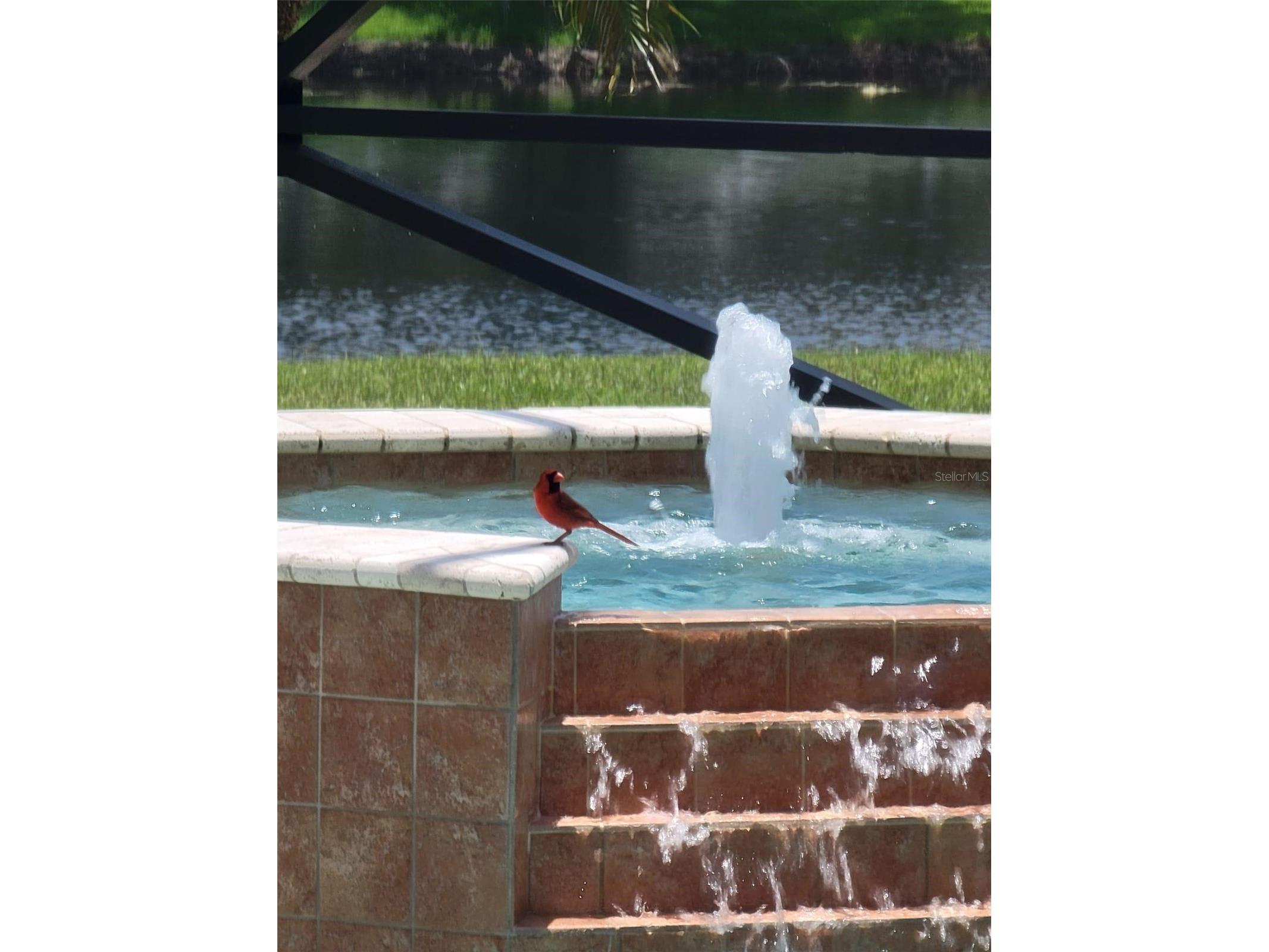 10503 Palm Cove Avenue Tampa FL 33647 O6375153 image94