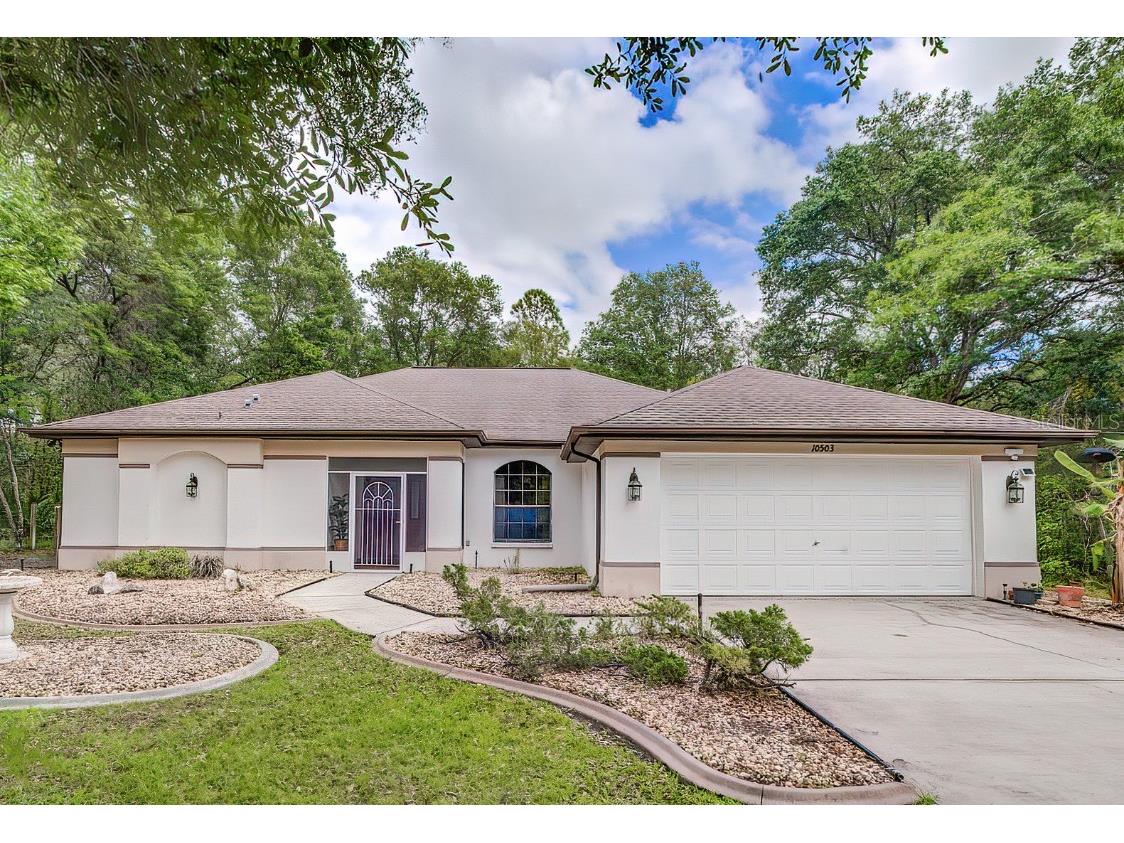 10503 Yellowlegs Avenue Weeki Wachee FL 34614 W7853999 image1