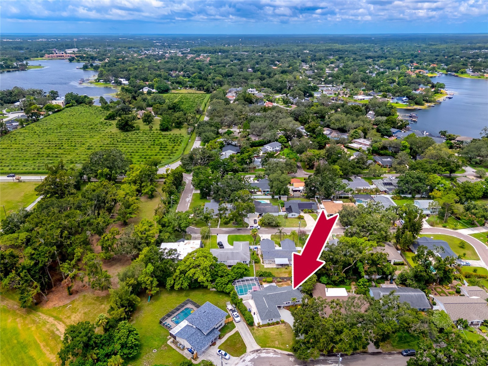 10504 Lacera Drive Tampa FL 33618 - LAKE CARROLL TB8407323 image39