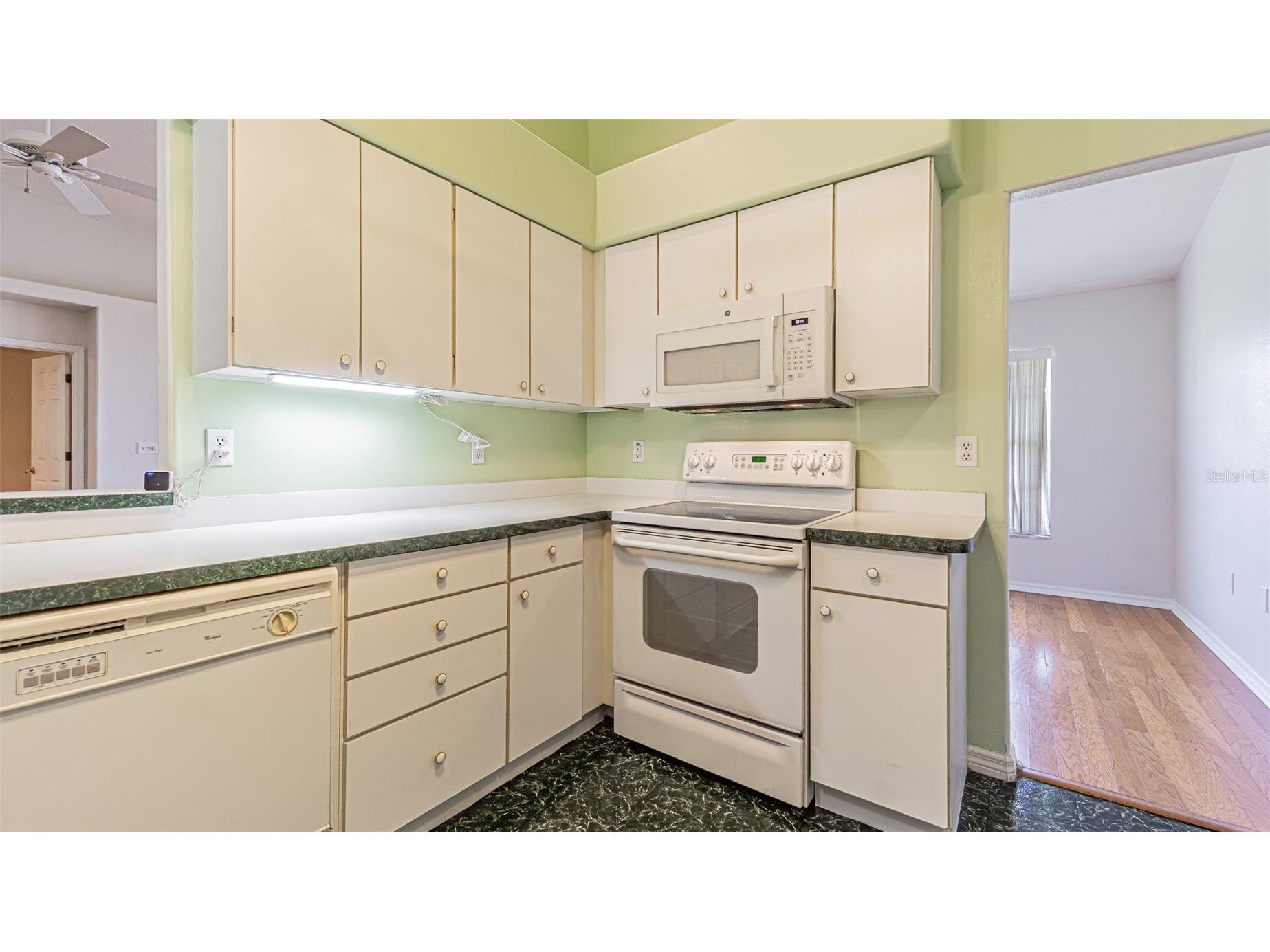 10504 Moshie Lane San Antonio FL 33576 TB8485729 image13